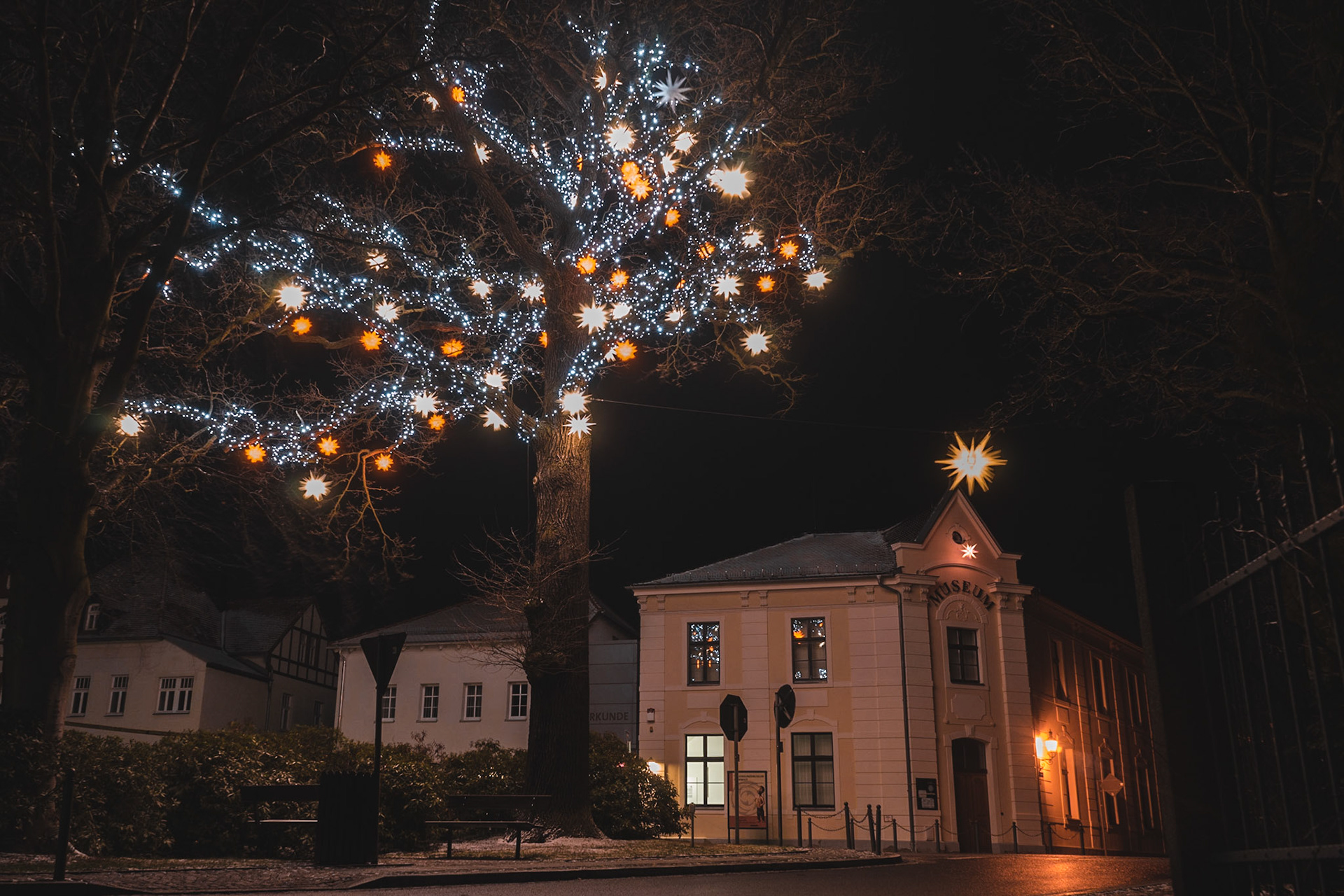 Der Weihnachtsbaum von Herrrnhut