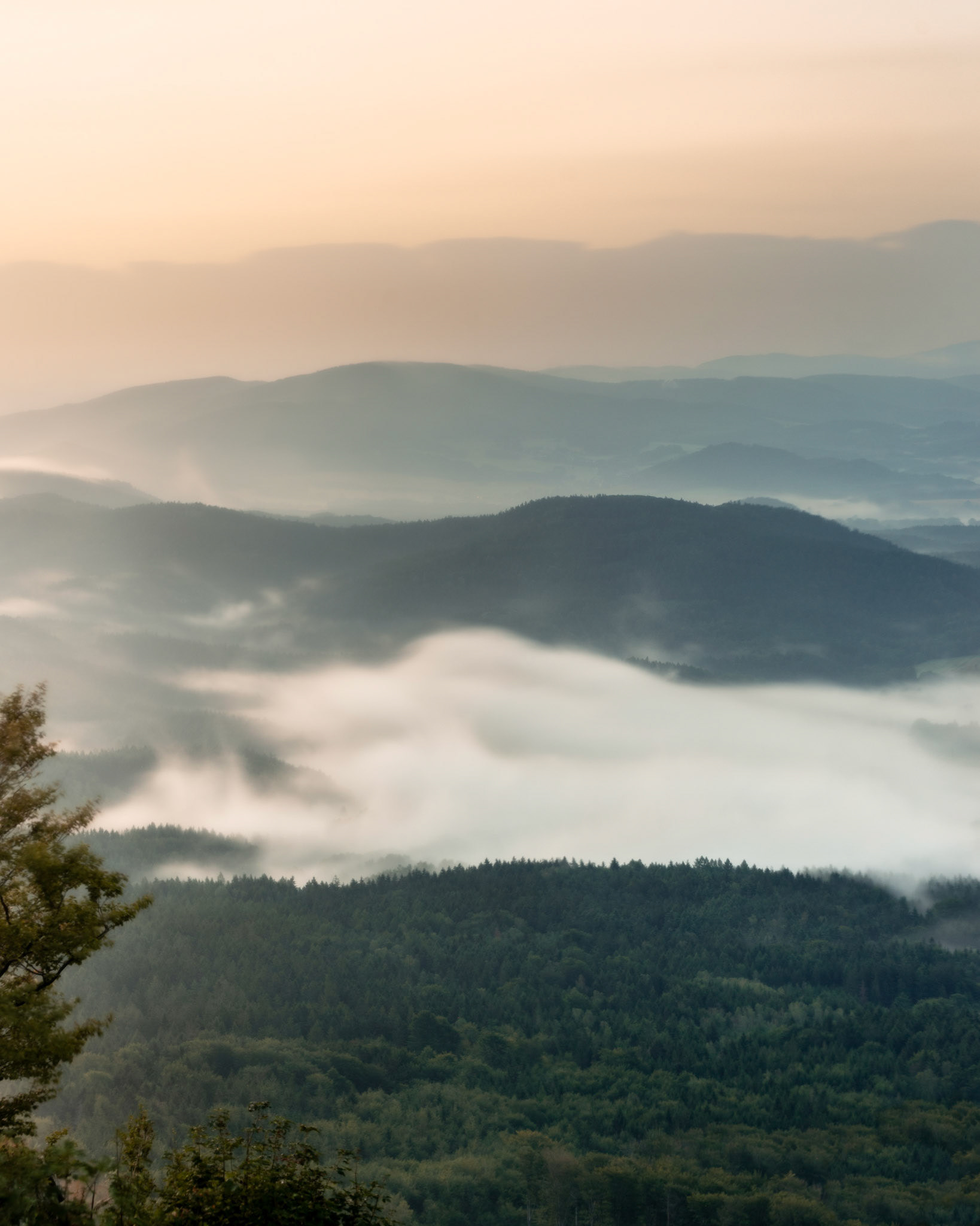 Blick vom Hochwald