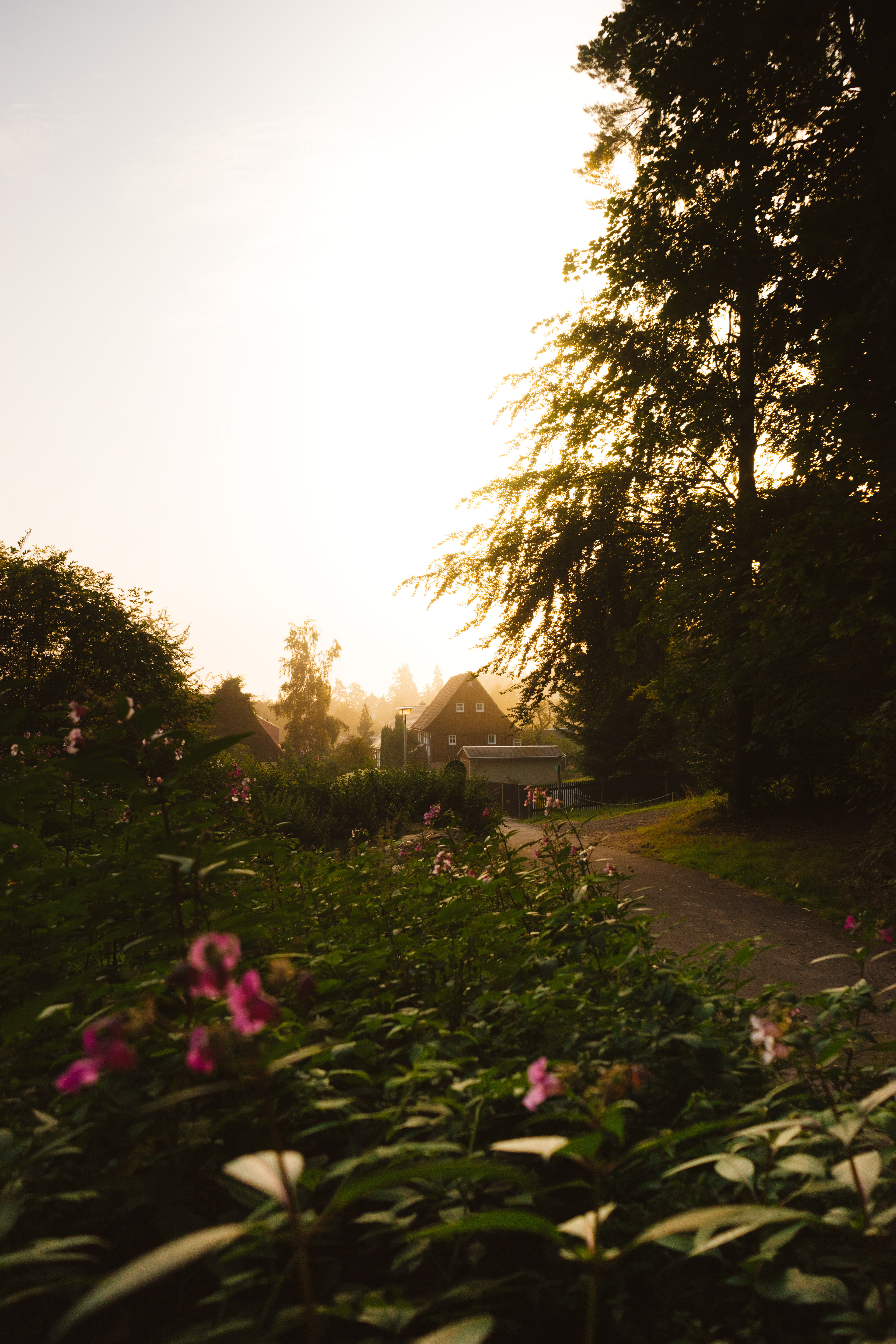 Jonsdorf bei Sonnenaufgang
