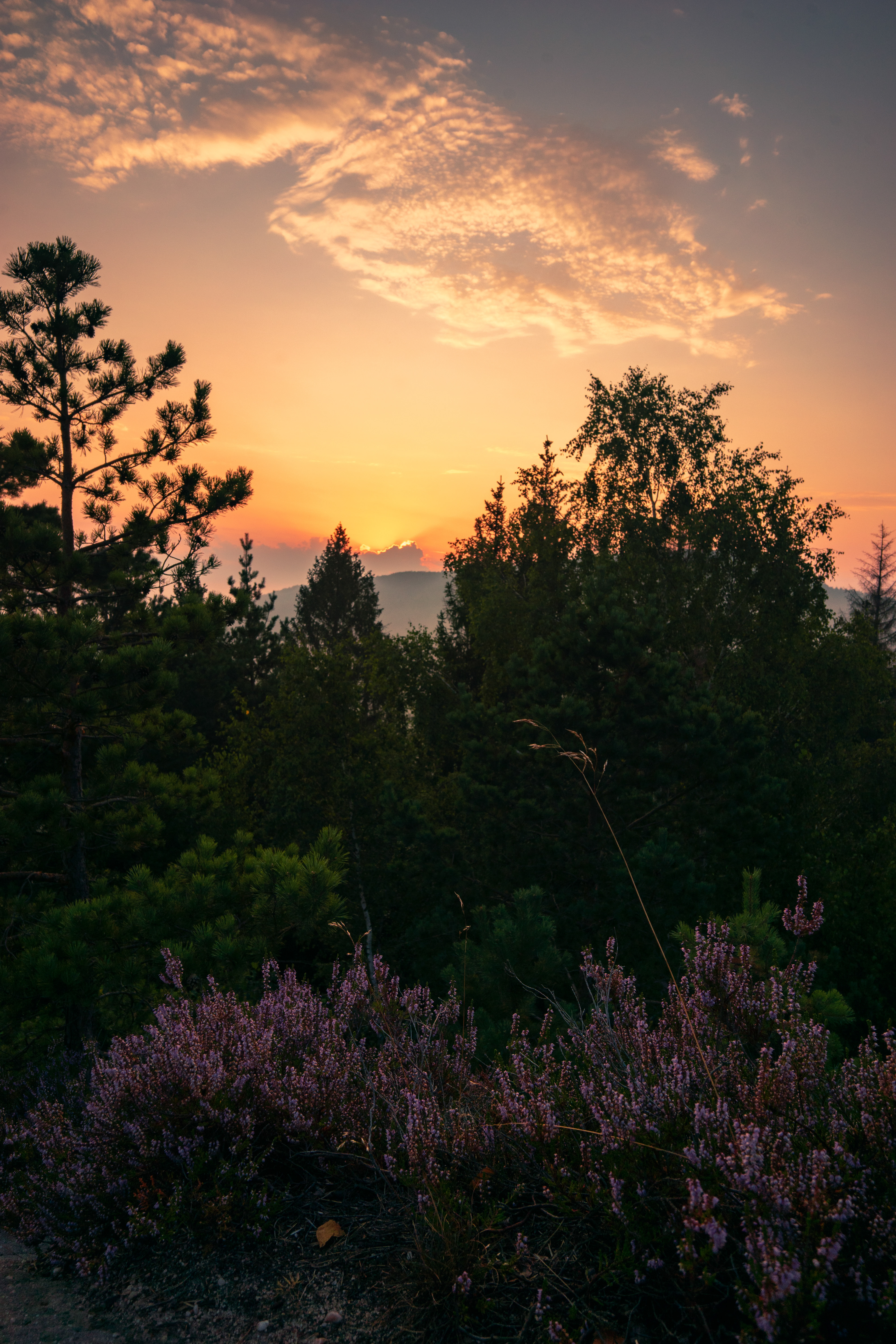 Sonnenaufgang über Jonsdorf
