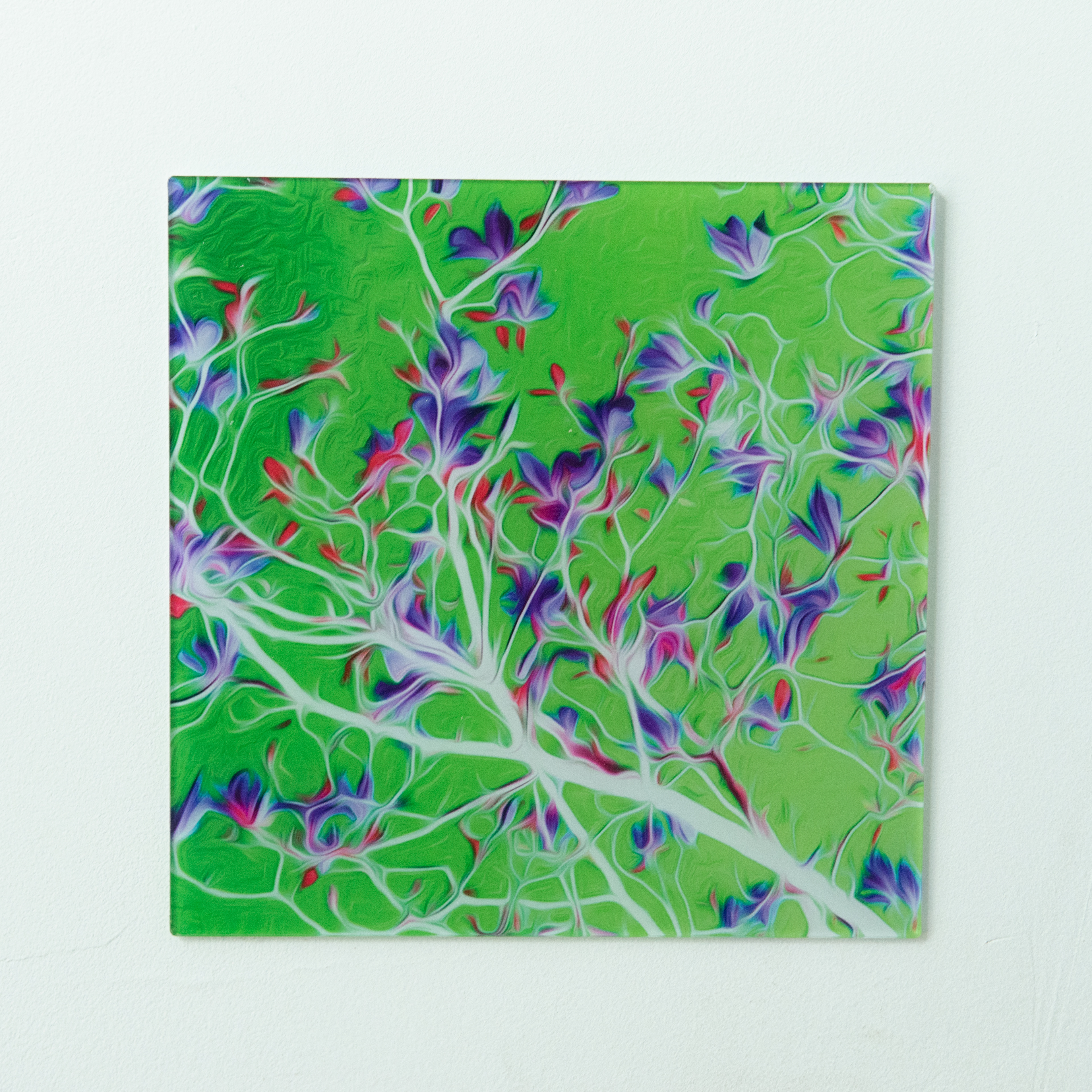 € 49,95 - print groen plexiglas 3mm