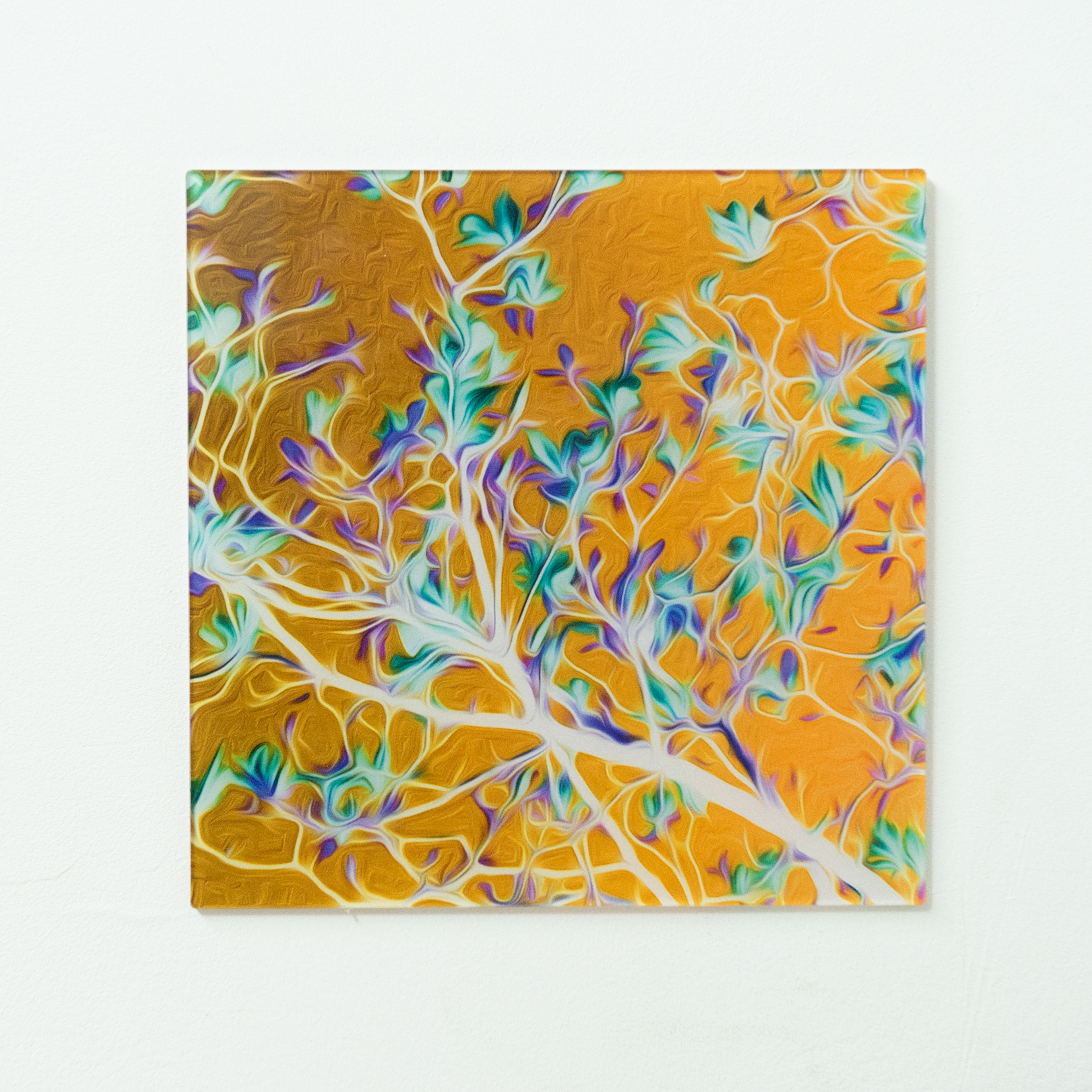 € 49,95 - print oker plexiglas 3mm