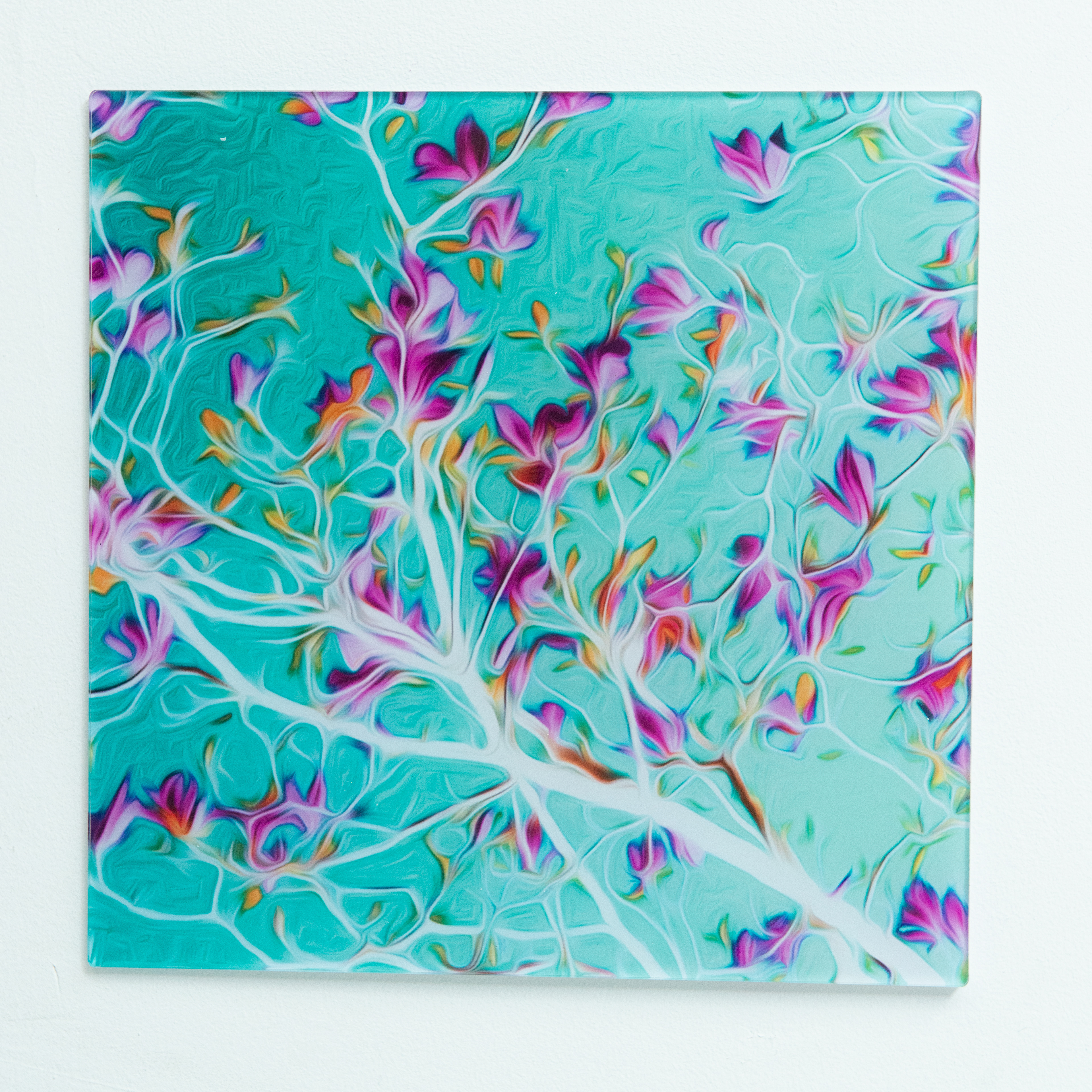 € 49,95 - print aqua plexiglas 3mm