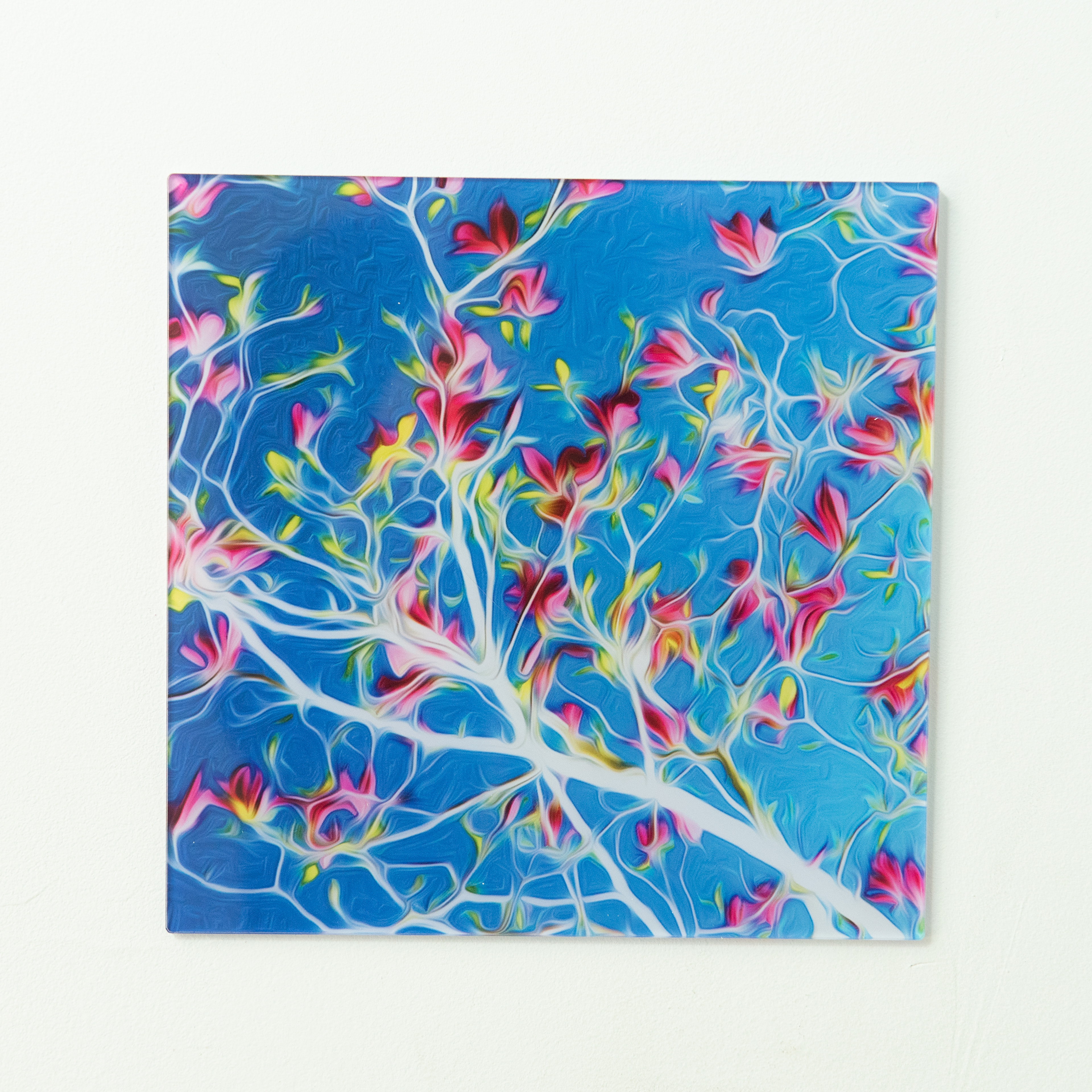 € 49,95 - print blauw plexiglas 3mm