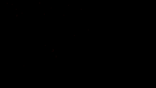 dust look variation
