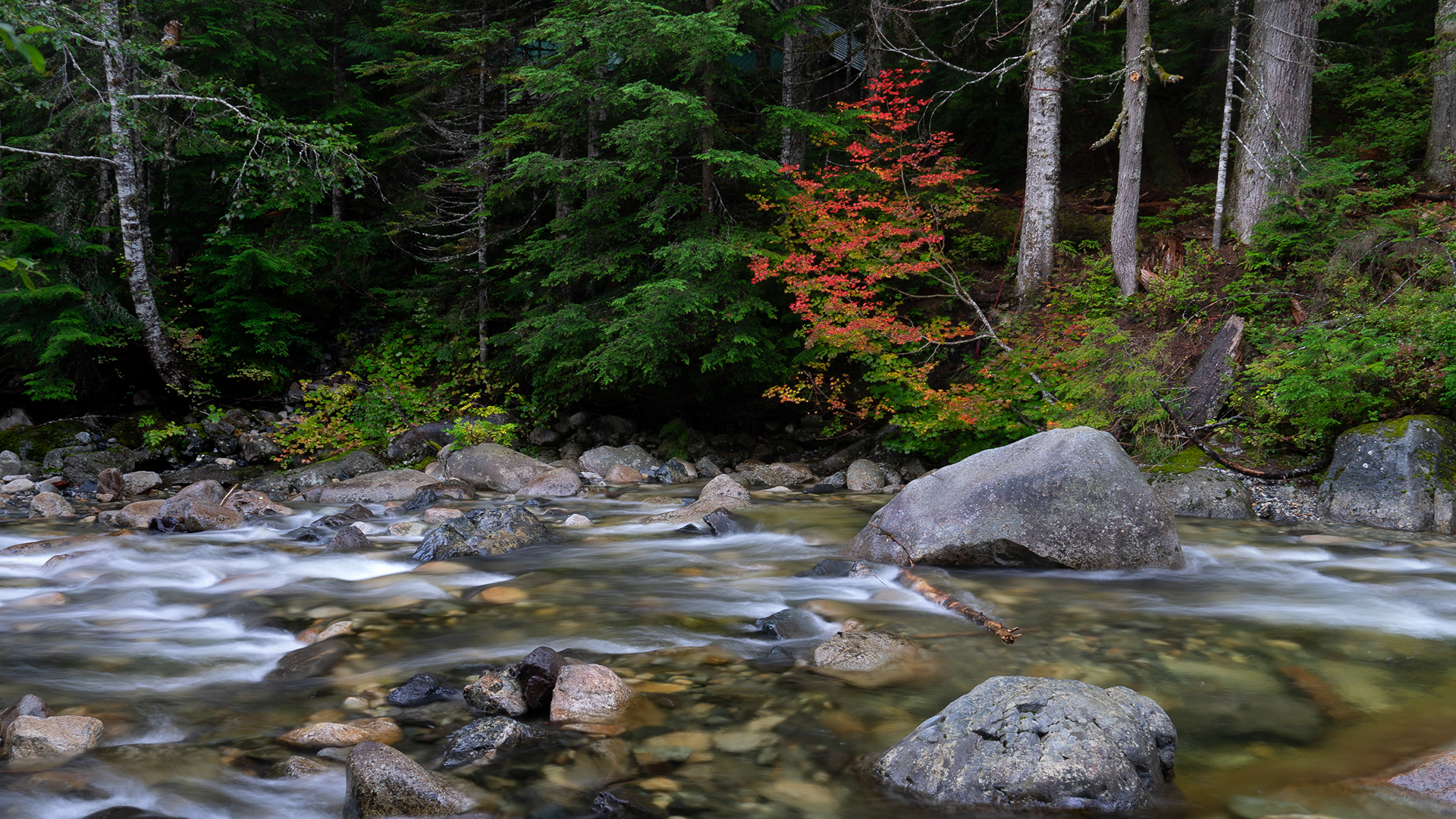 South Fork Snoqualmie River