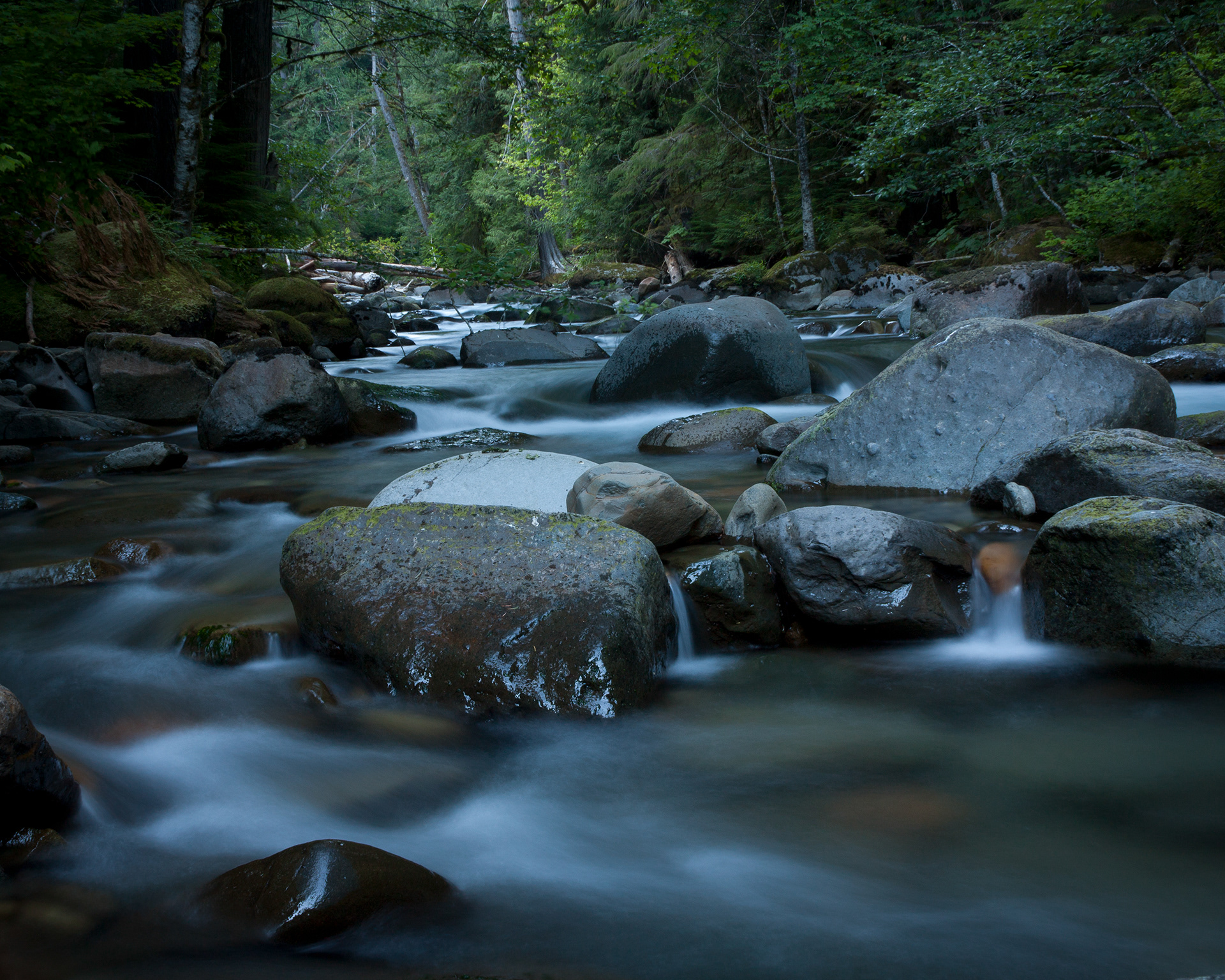 Lewis River