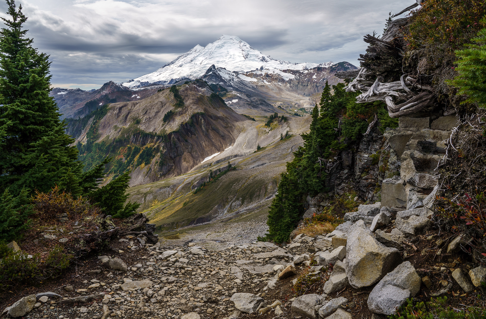 Mt. Baker