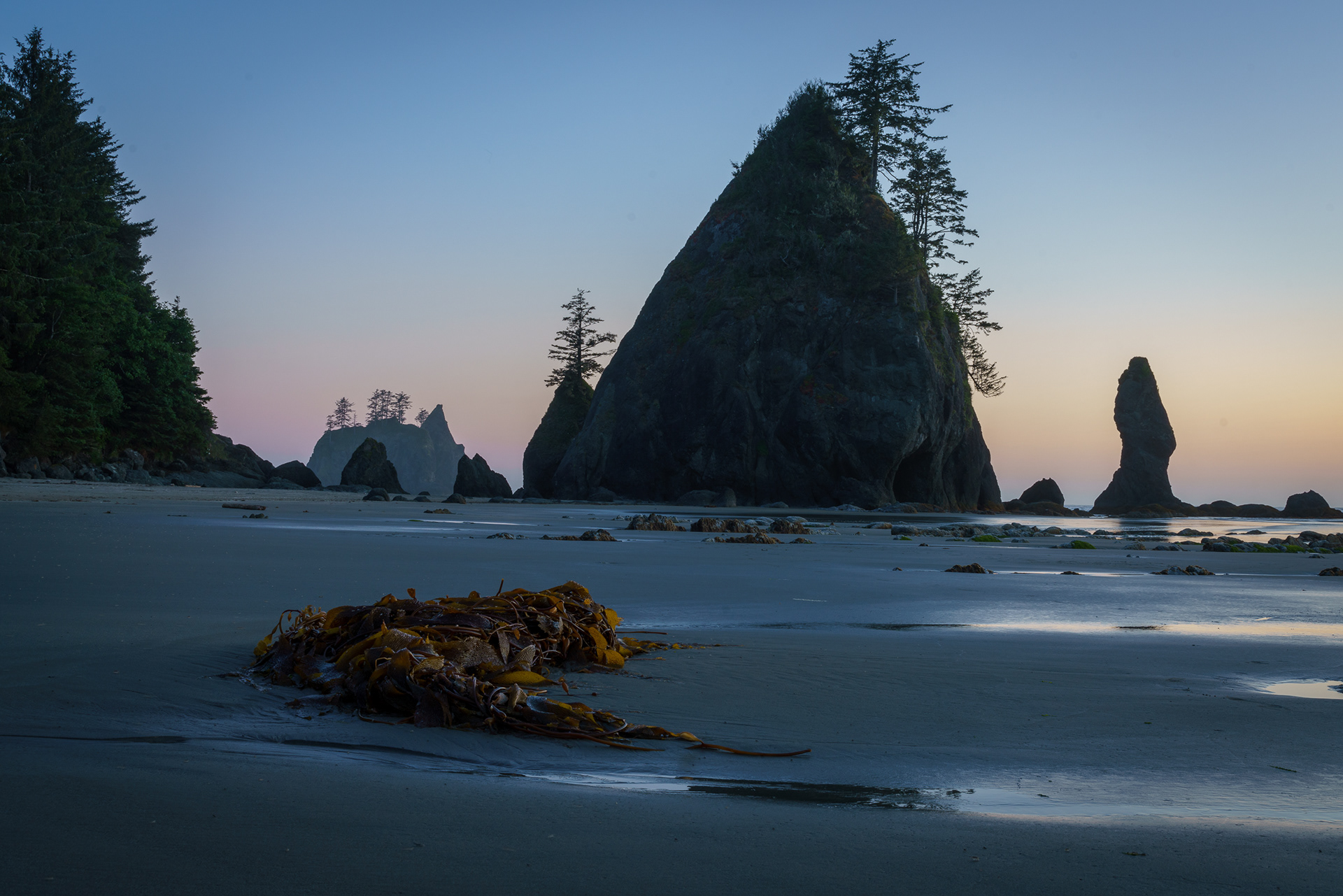 Shi Shi Beach