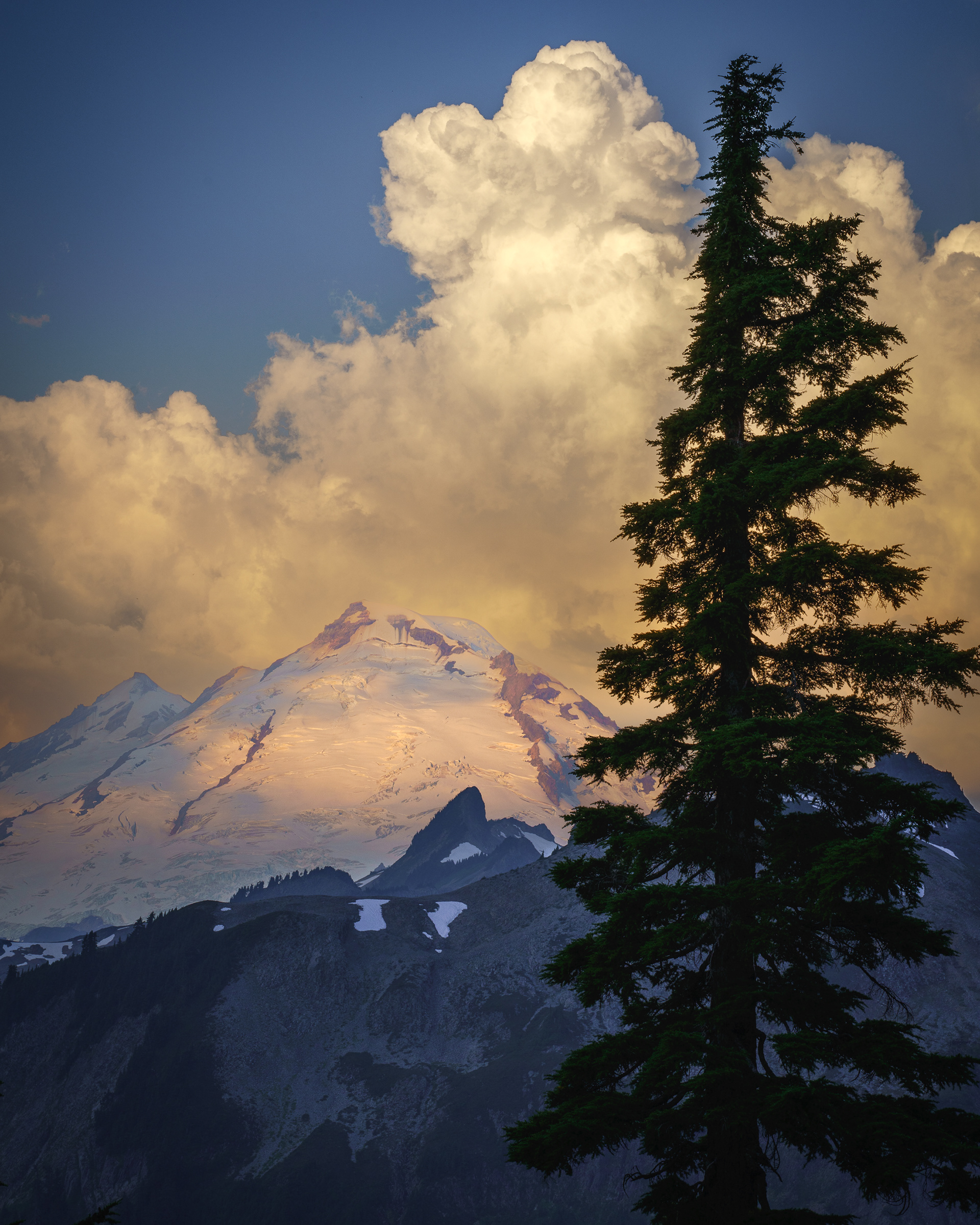 Baker and Tree