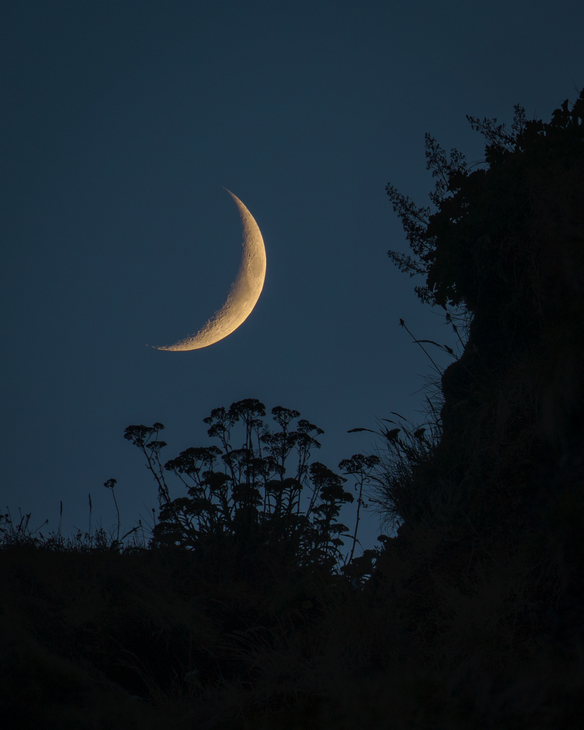 Crescent Moon