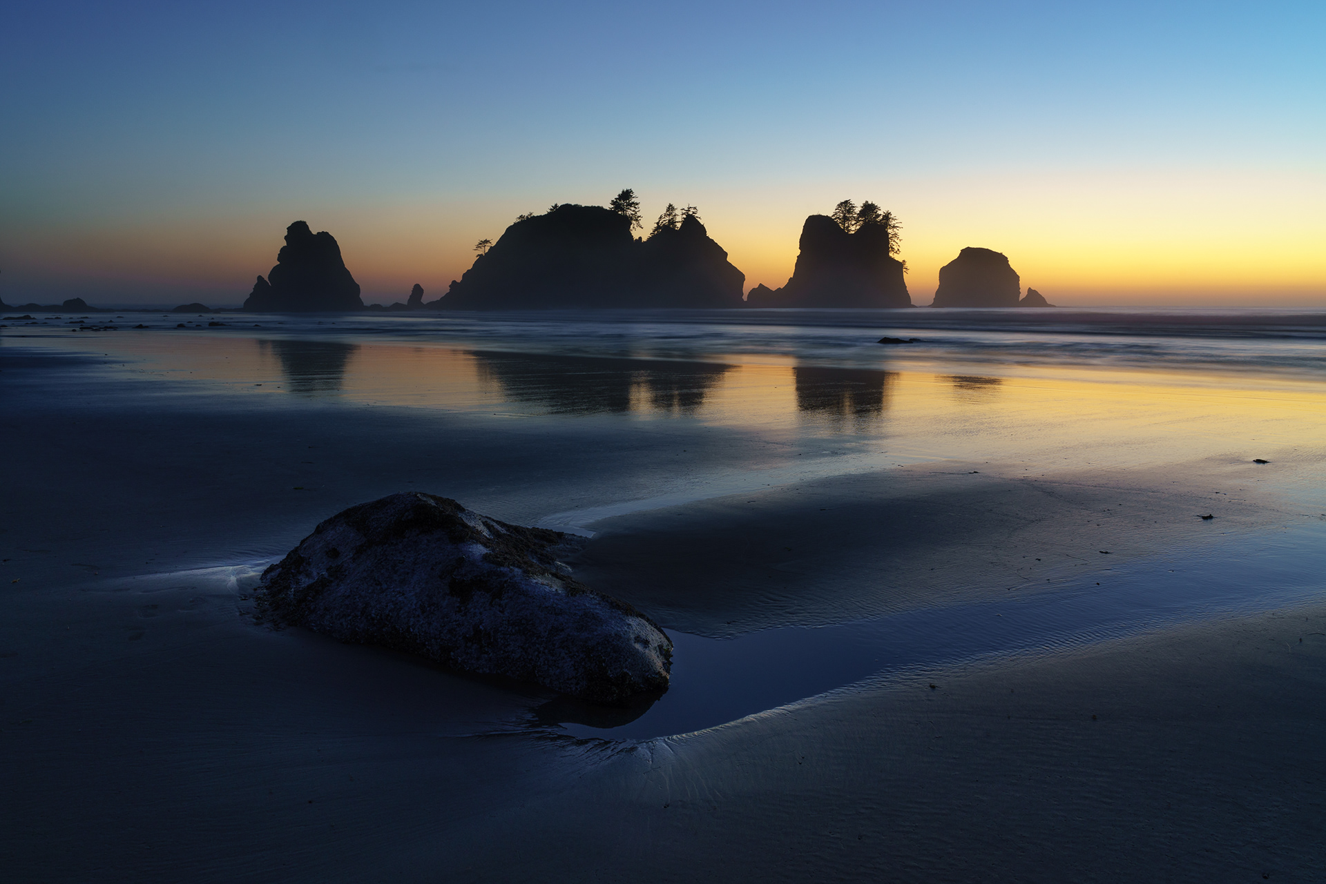 Shi Shi Beach