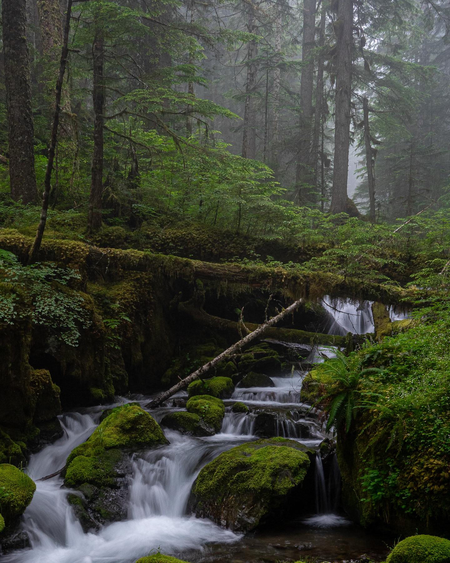 Big Quilcene River
