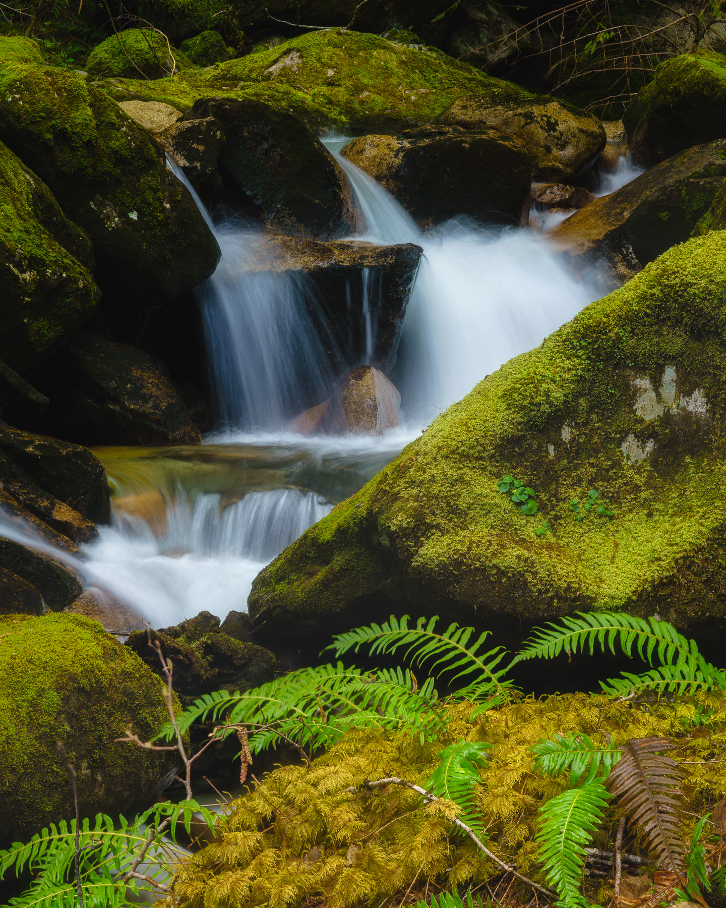 Rainy Creek