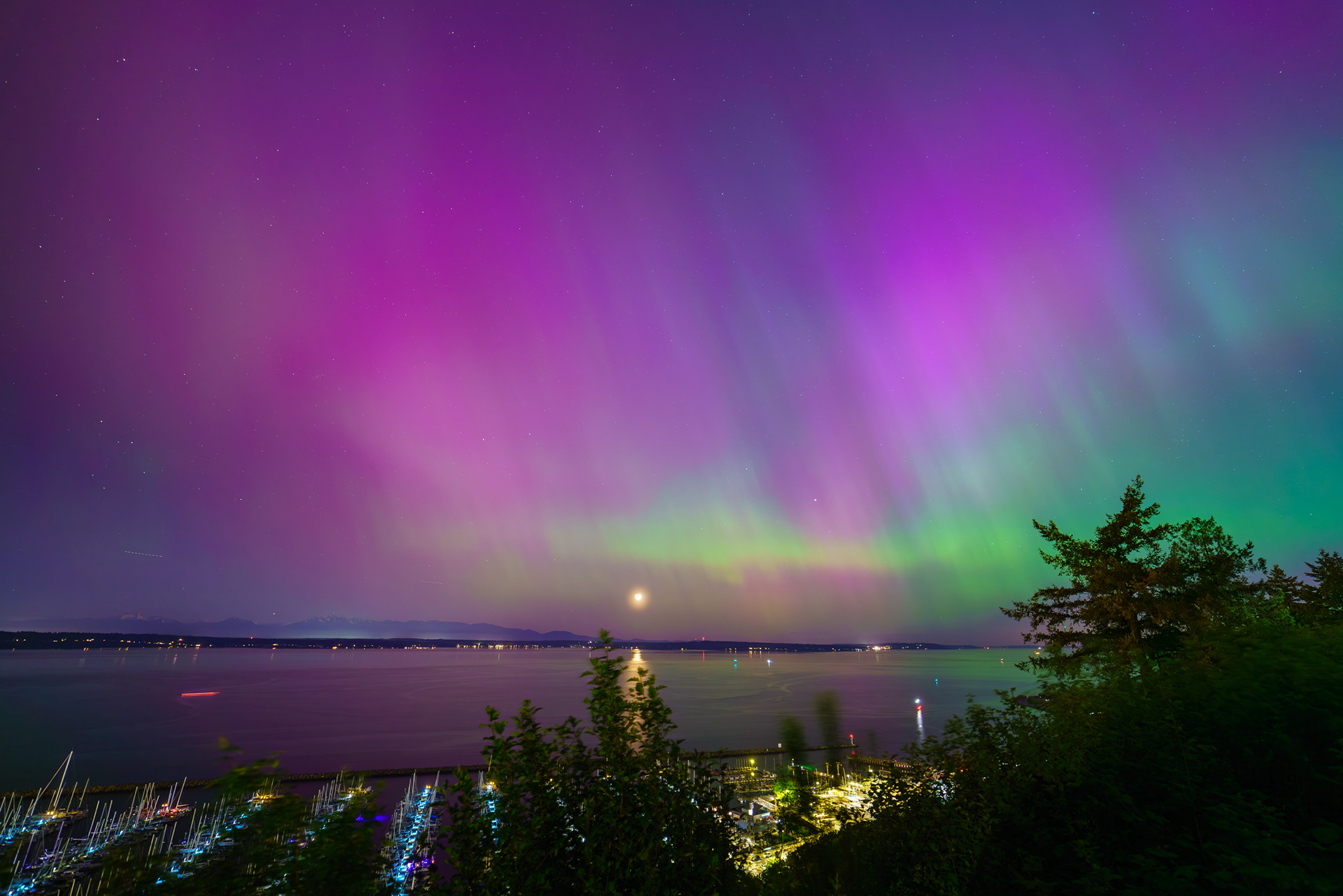 Puget Sound Aurora