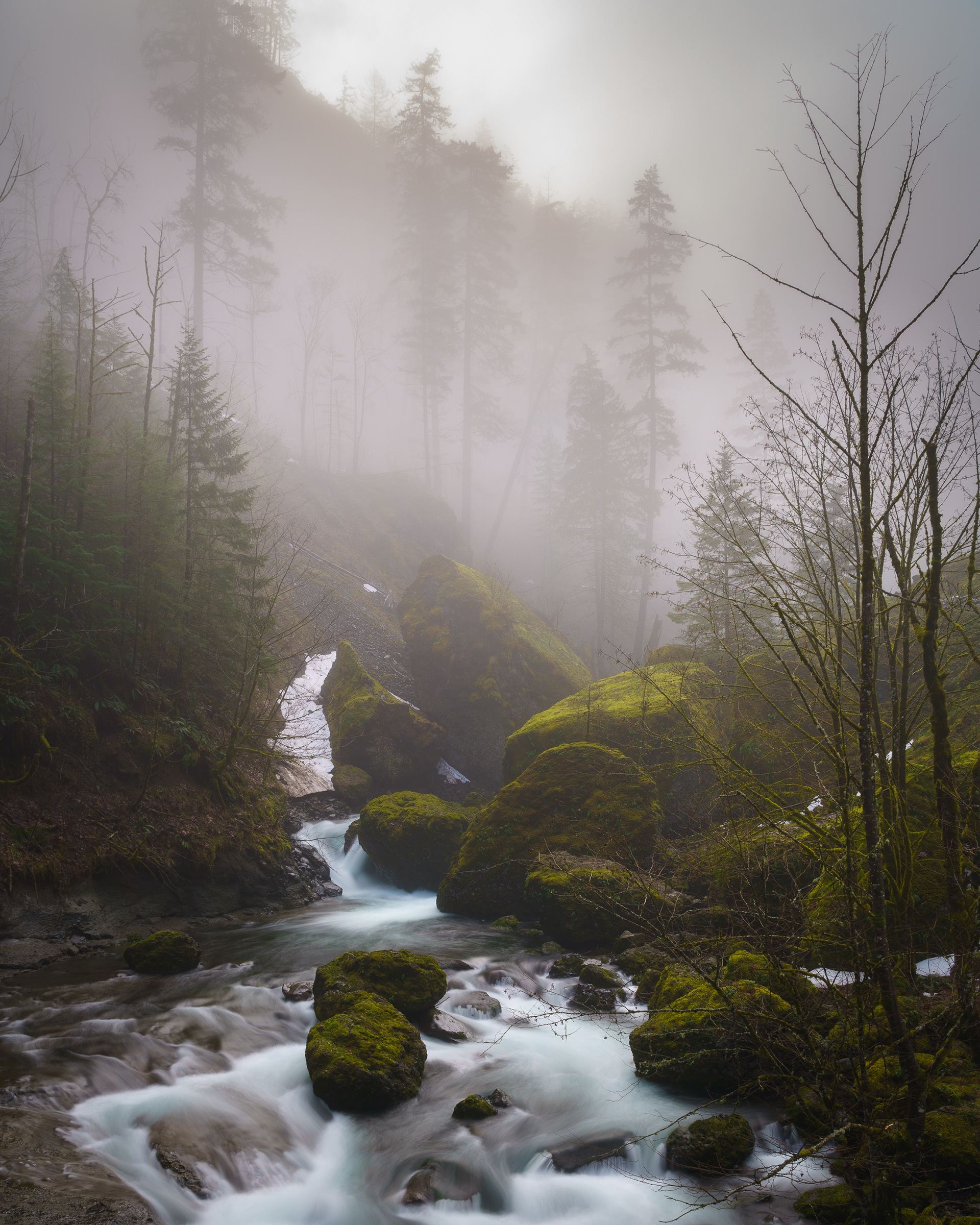 Tanner Creek
