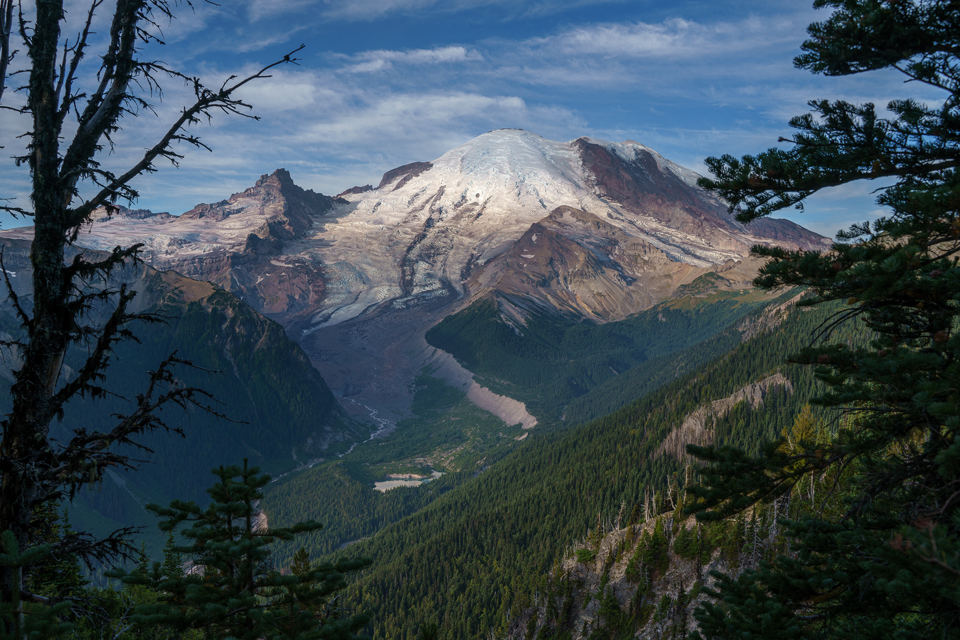 Mt. Rainier
