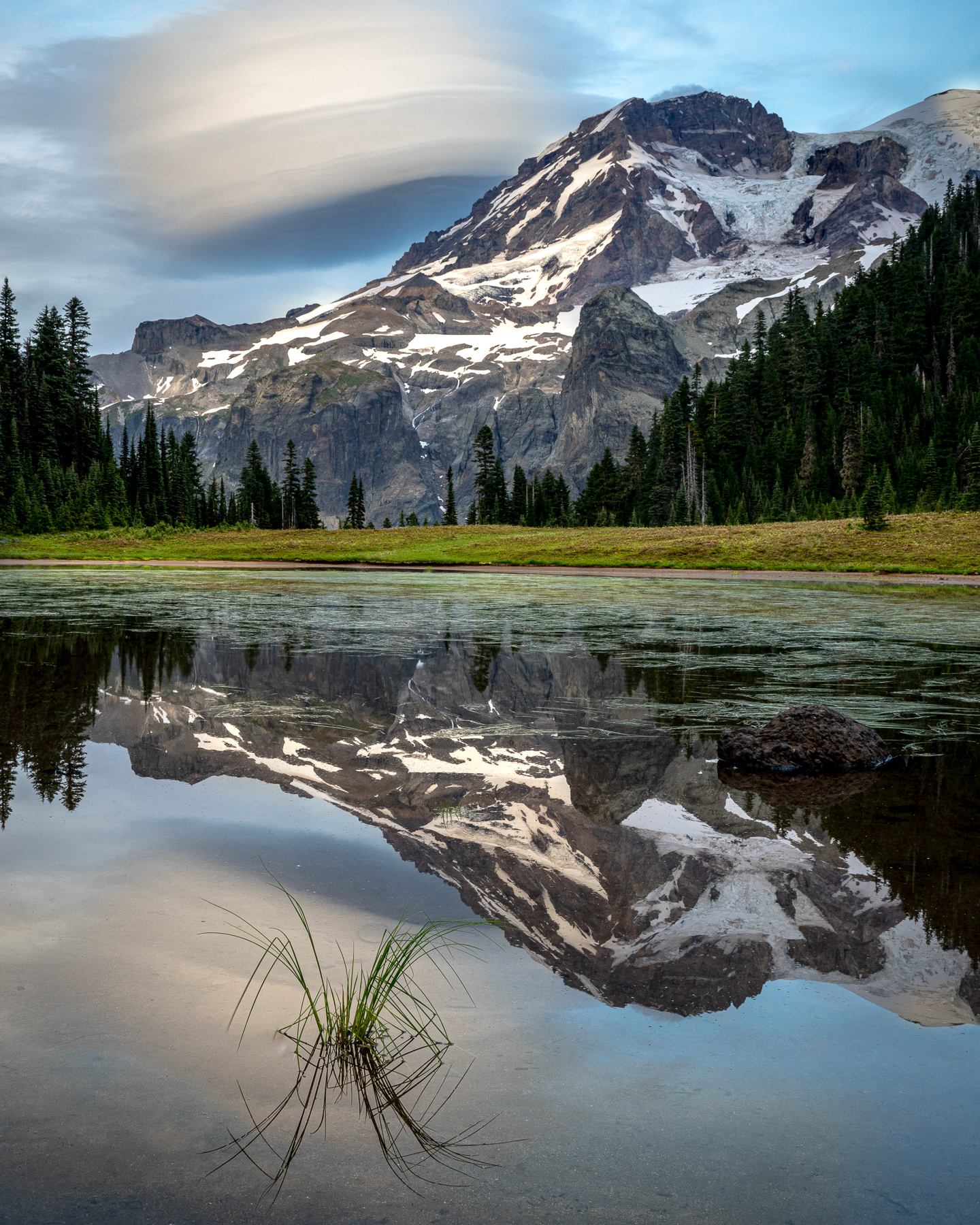 Mt. Rainier