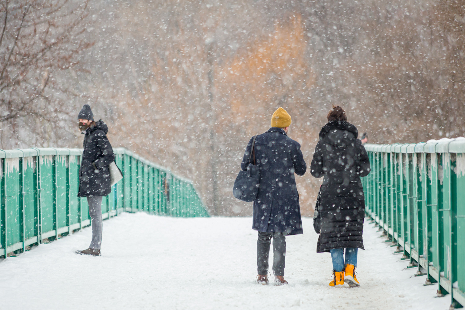 Snow Day