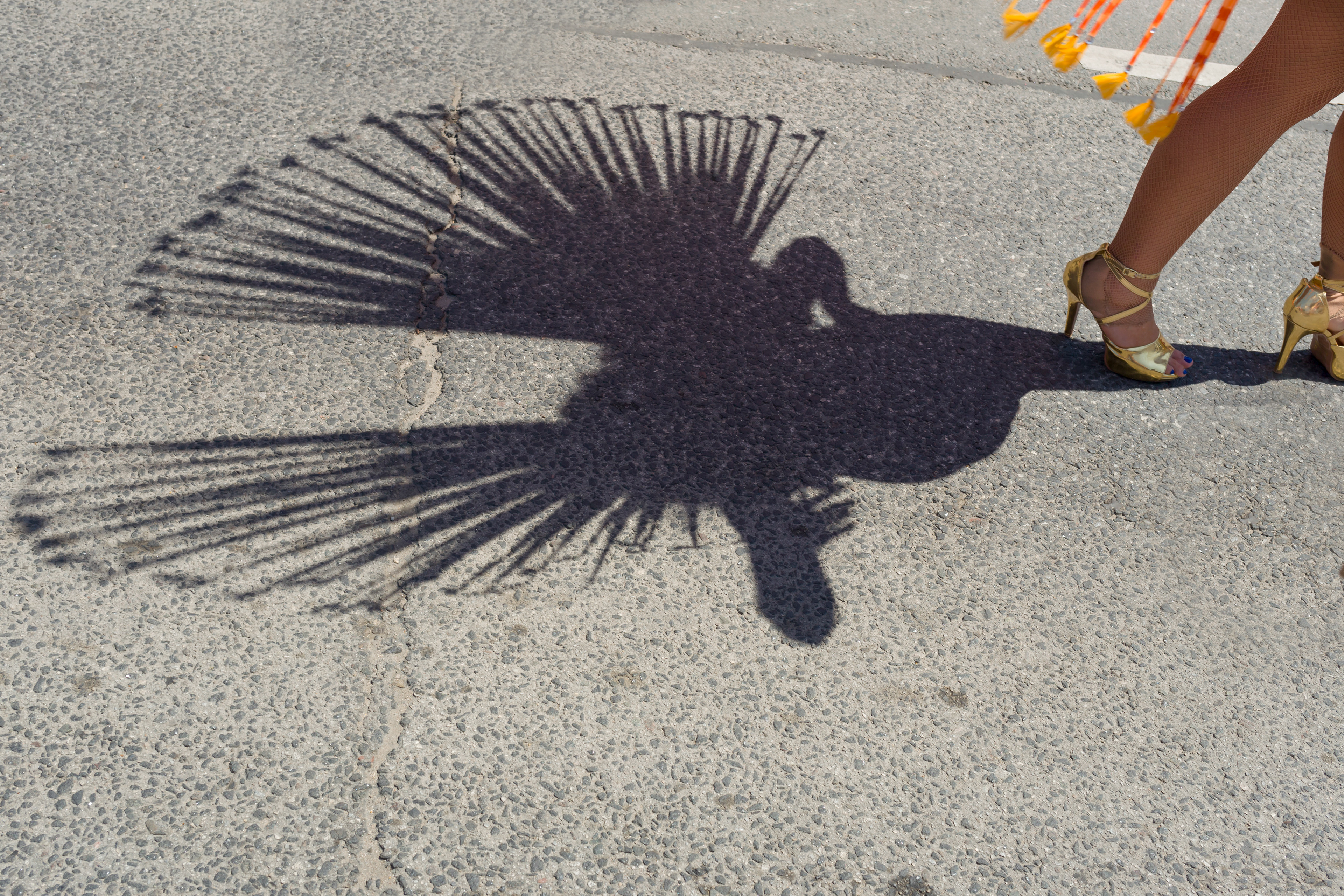 Samba On St Clair, 2022