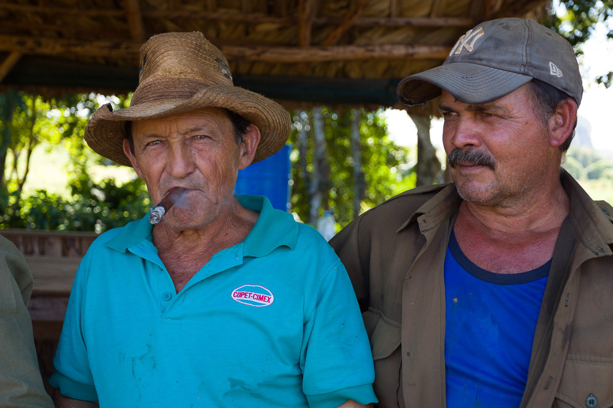 Savouring. Tabacco Farmer, Viñales Valley, 2019