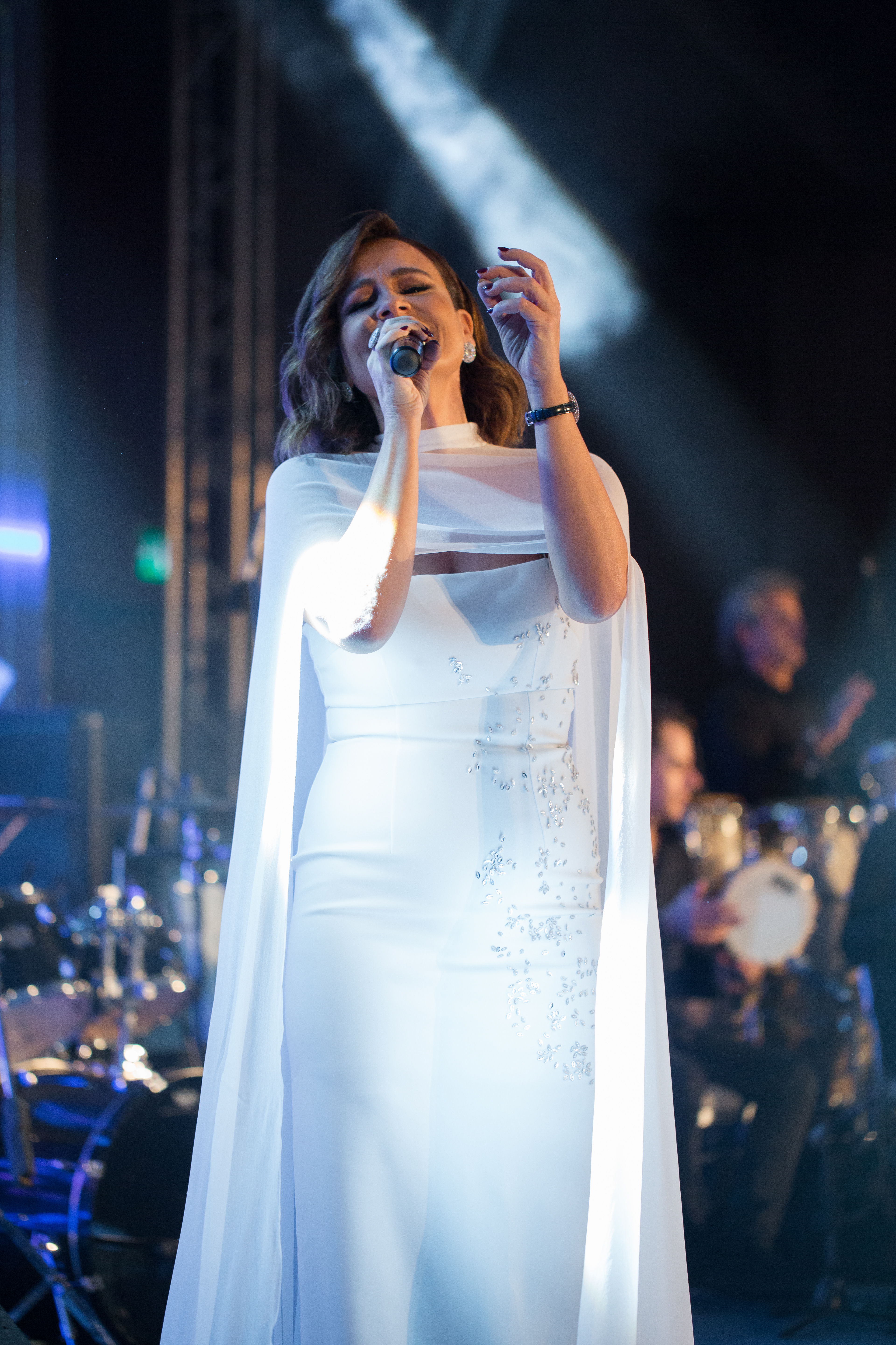 carole samaha at nac fundraiser dinner 2019