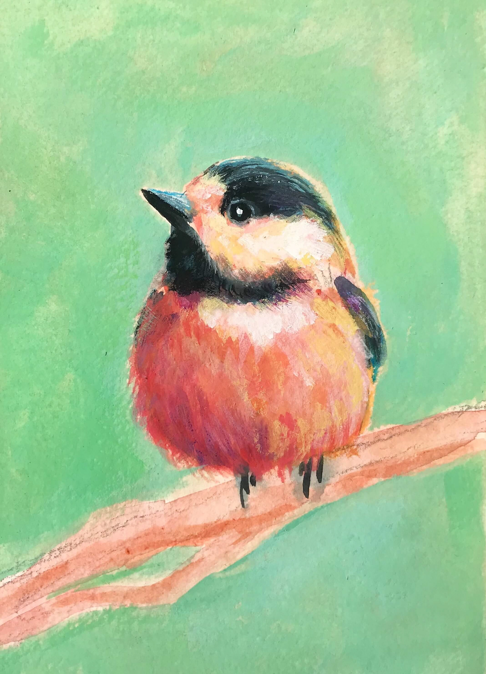 Varied Tit