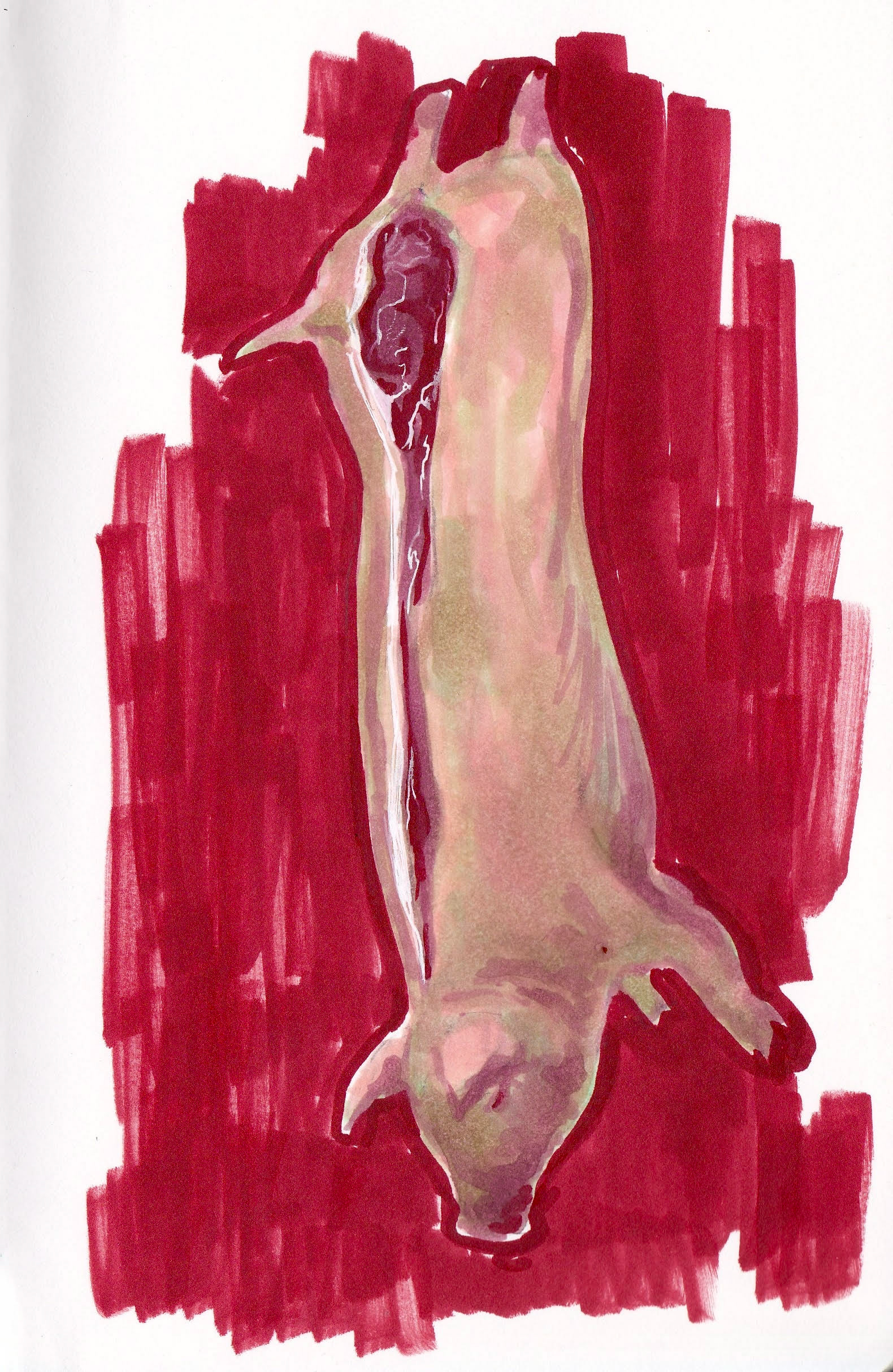 30 minute suspended pig study in alcohol marker - June 2026