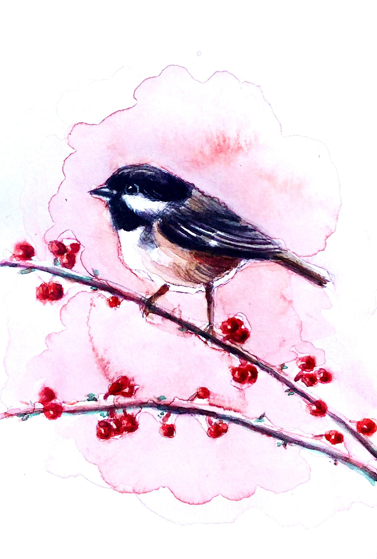 Chickadee