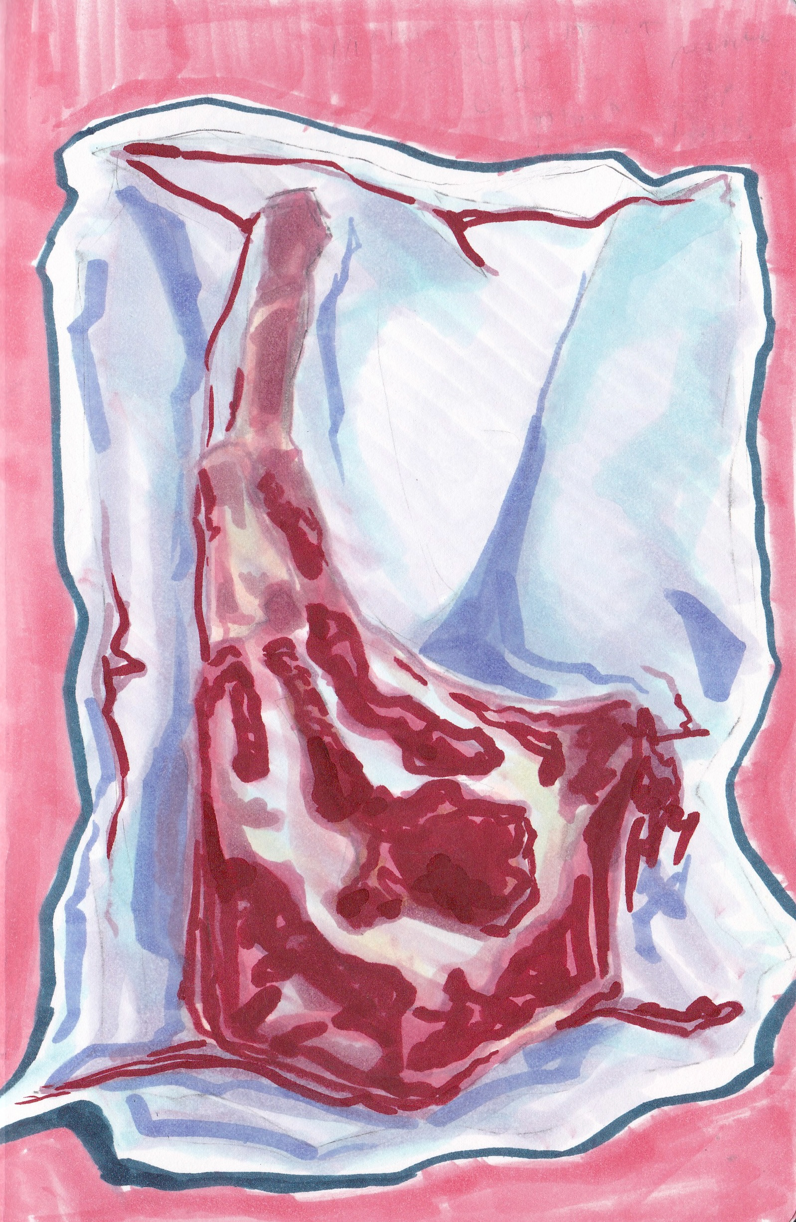 meat in vacuum-sealed bag in alcohol marker - June 2026