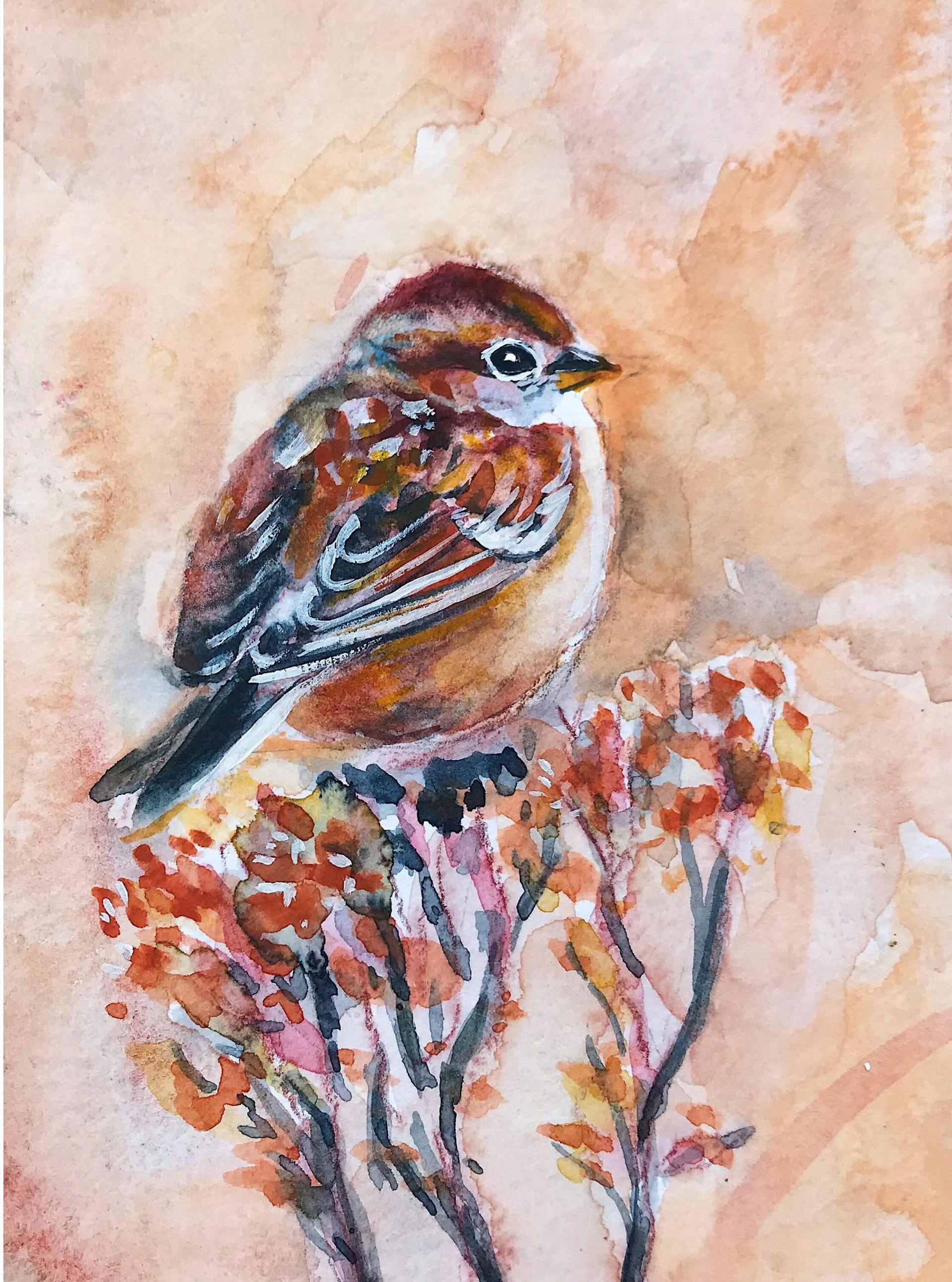 American Tree Sparrow