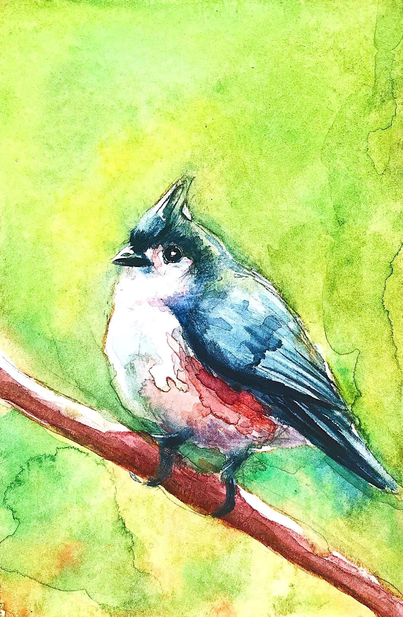Tufted Titmouse
