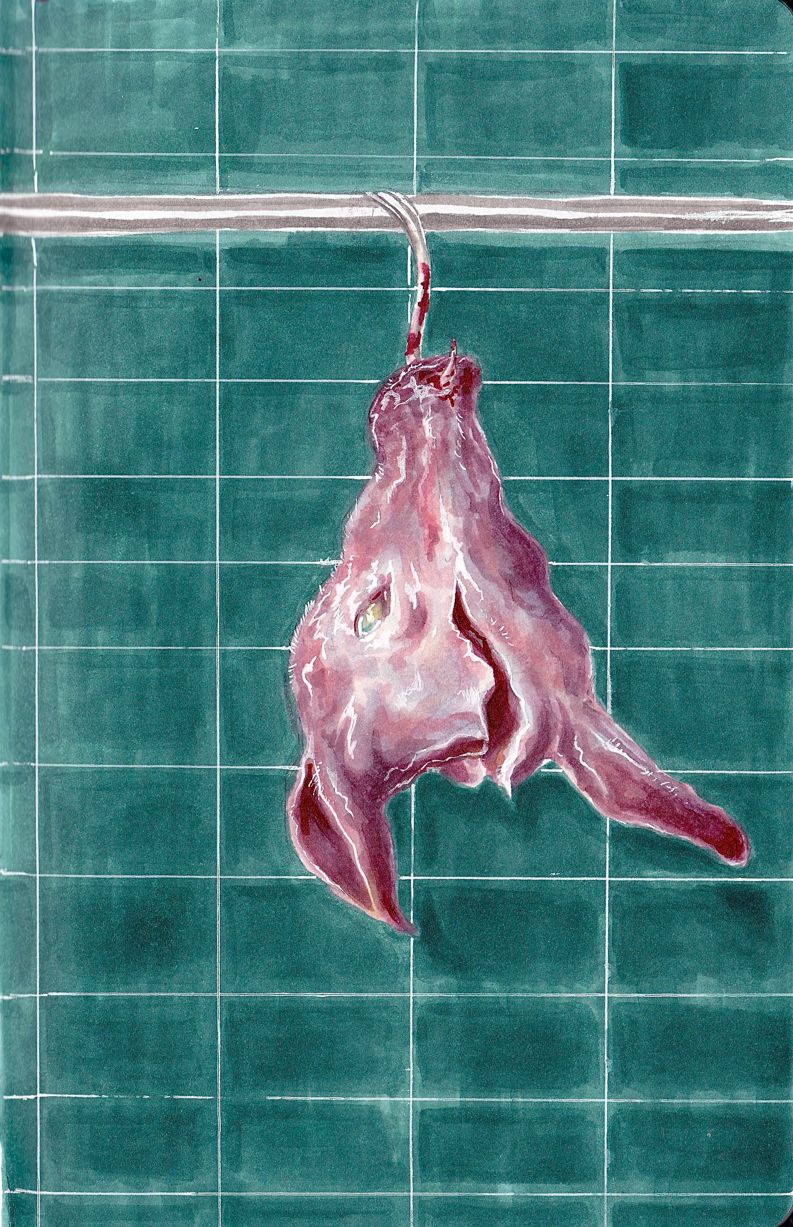 pig head on hook  in alcohol marker - June 2026 
