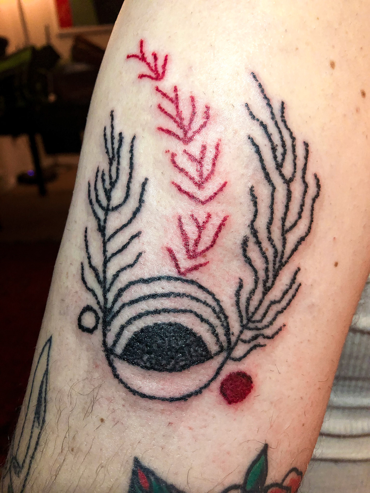 Handpoke 2021