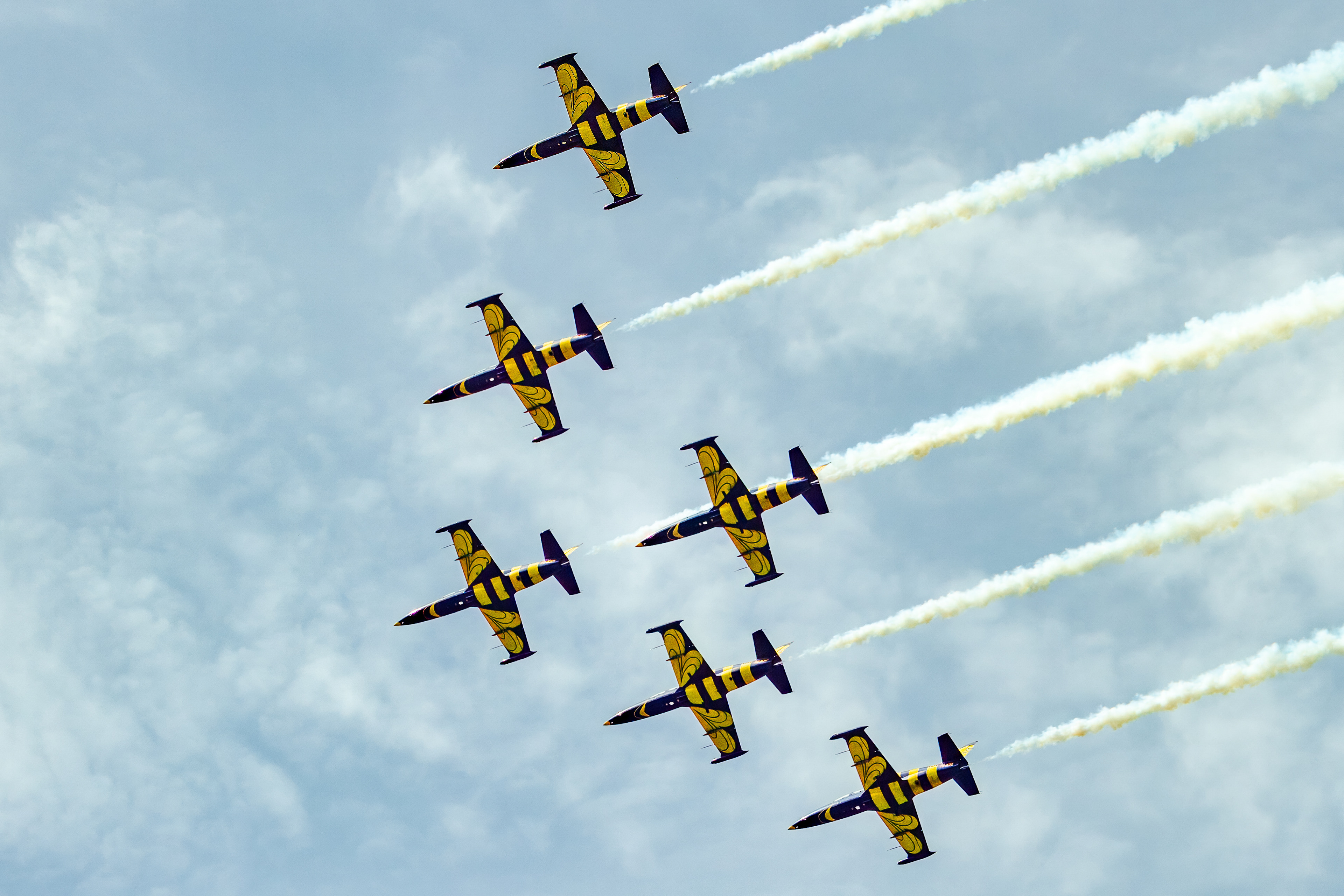 Baltic Bees Jet Team