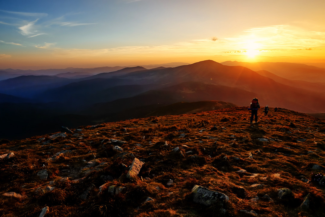 Down from the top 2015