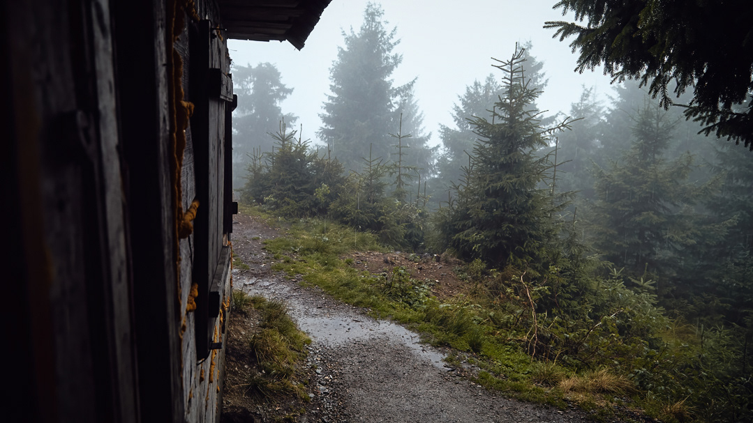 Rain creates mood 2015