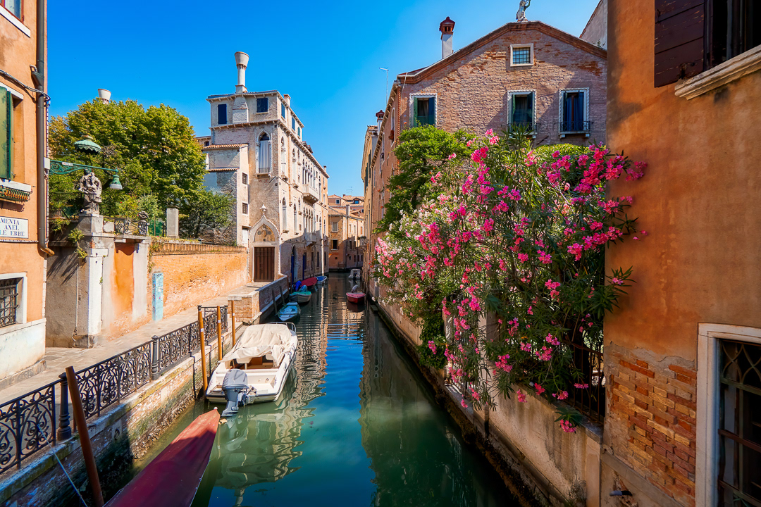Blooming in Venice 2018