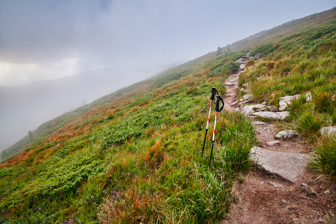 Path to the clouds 2016