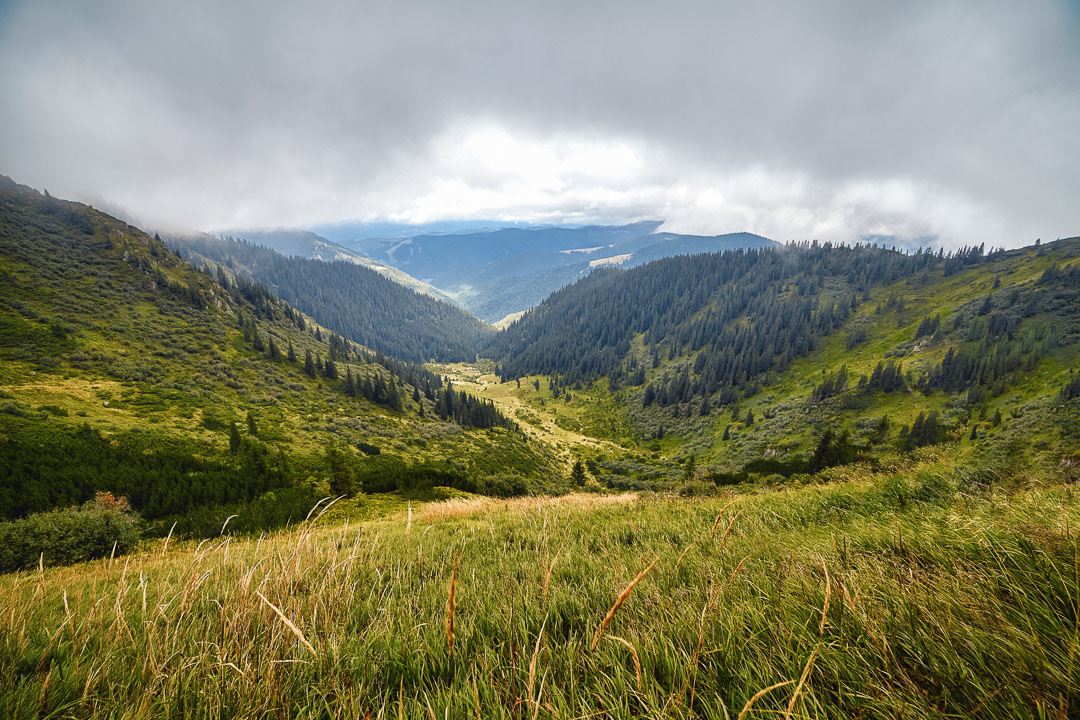 Under the clouds 2017