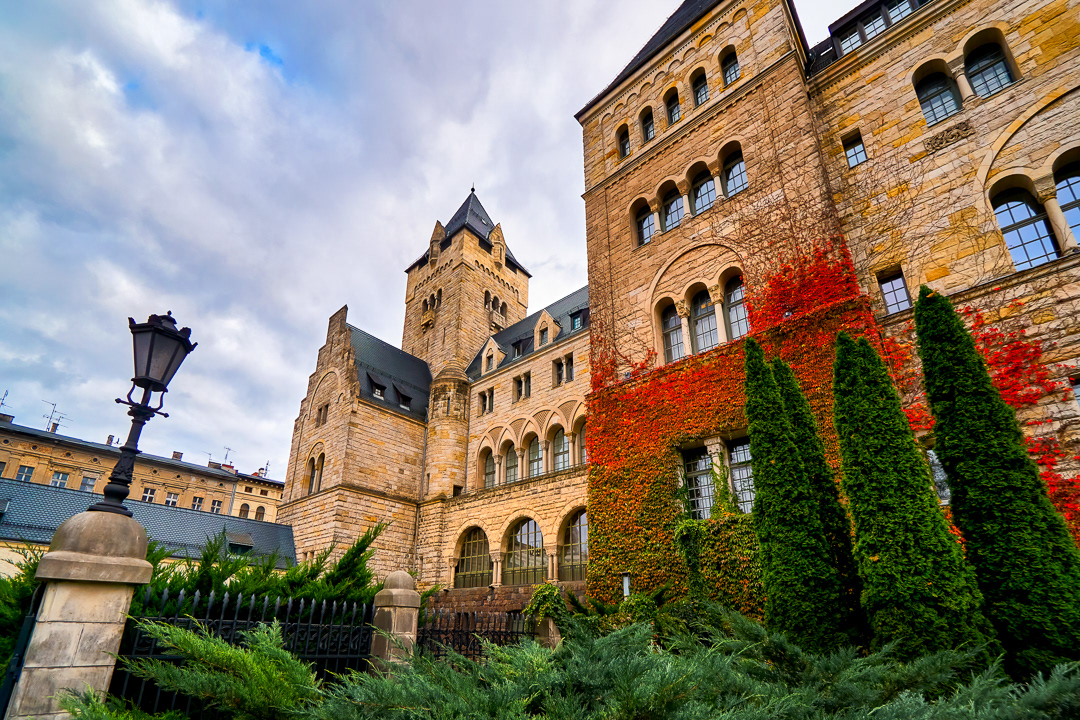 Red over the brown, Poland 2019