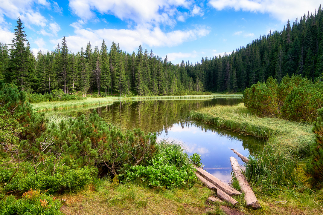 Pure Maricheyka lake 2016