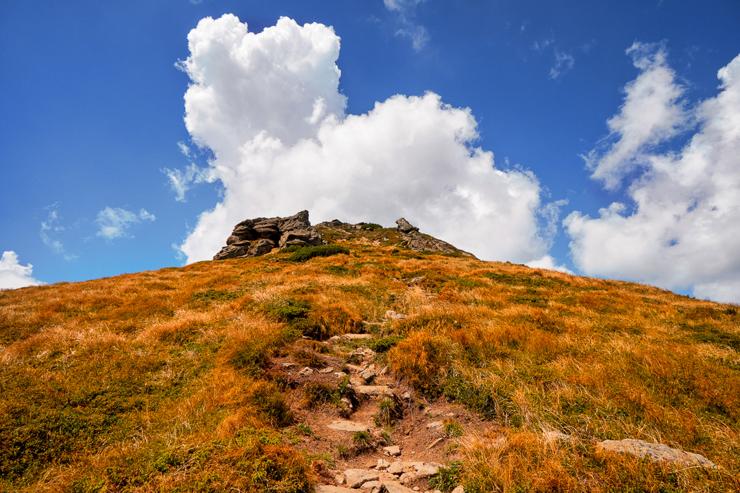 View to the top 2016