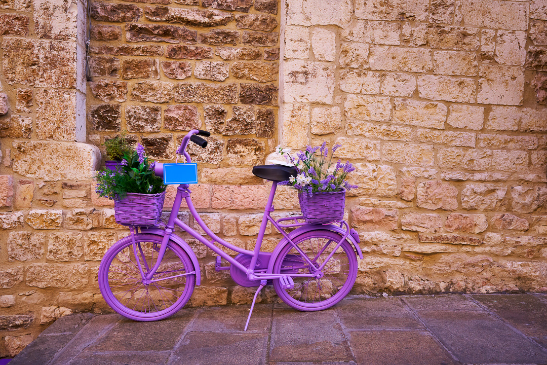 Purple bike 2018