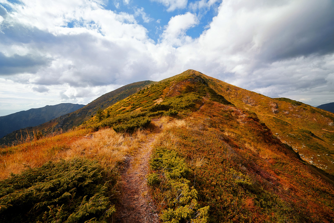 Path to the top 2018