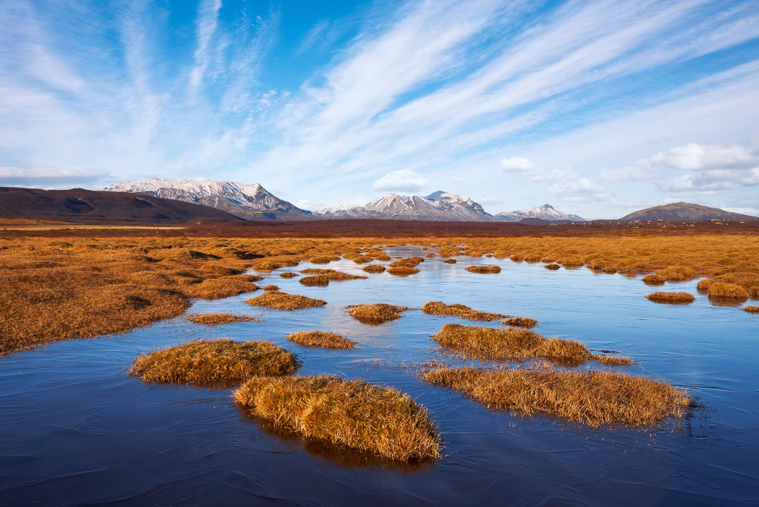 Blue and yellow 2018