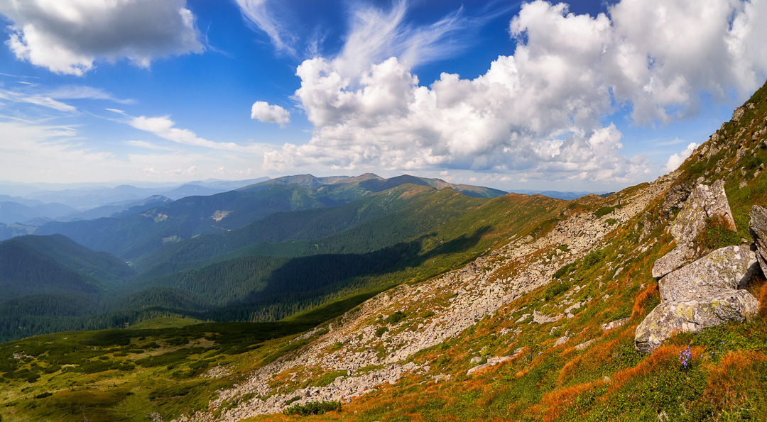 View from the top 2017