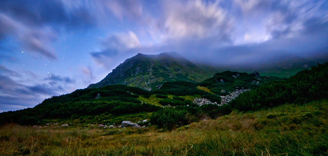 In the middle of the night 2017