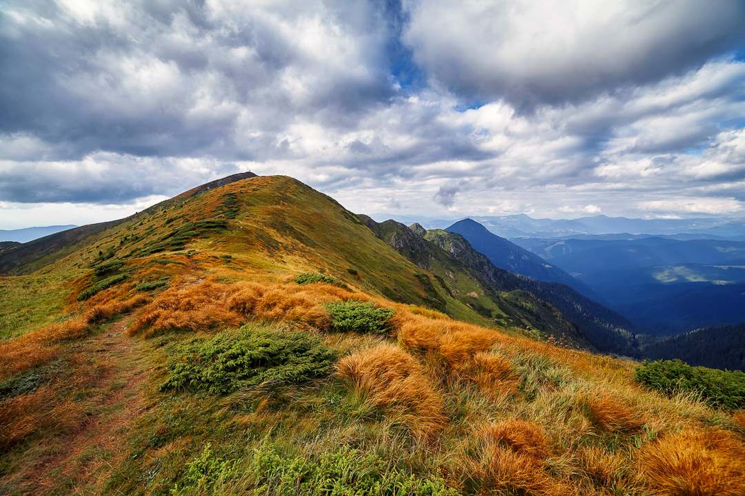 Path to the hill 2017