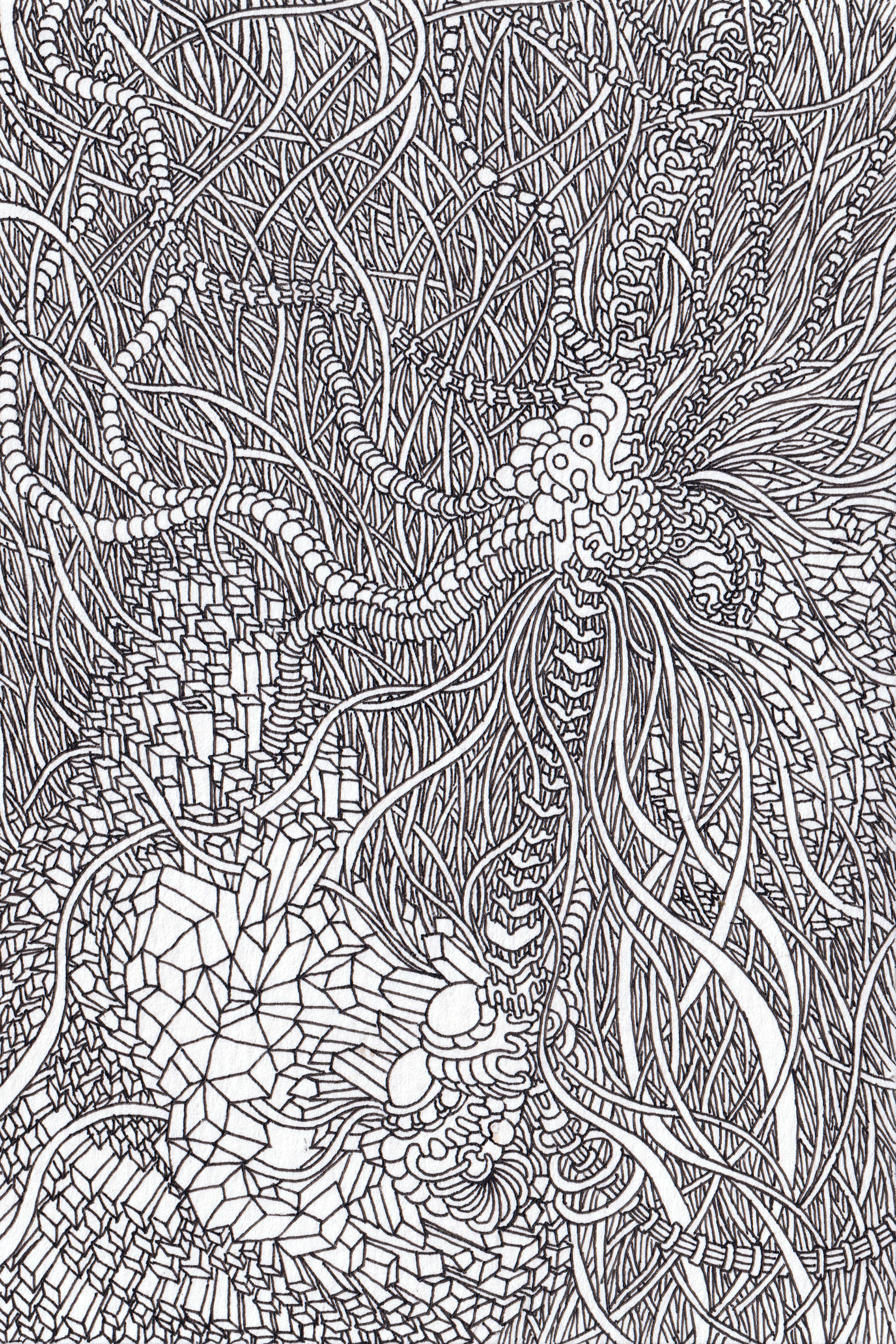 "Line of Fusion"